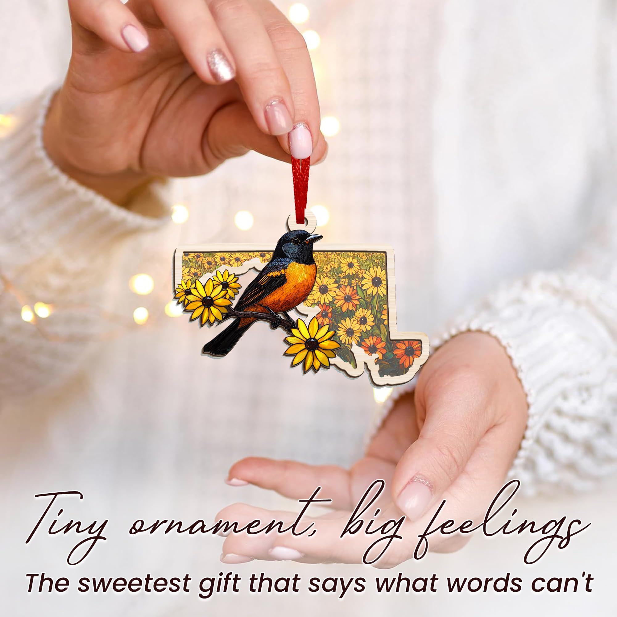 FLAGWIX Maryland Christmas Ornament 2025 - Suncatcher Christmas Ornaments for Tree Decorations - Maryland Gifts for Women Men, B