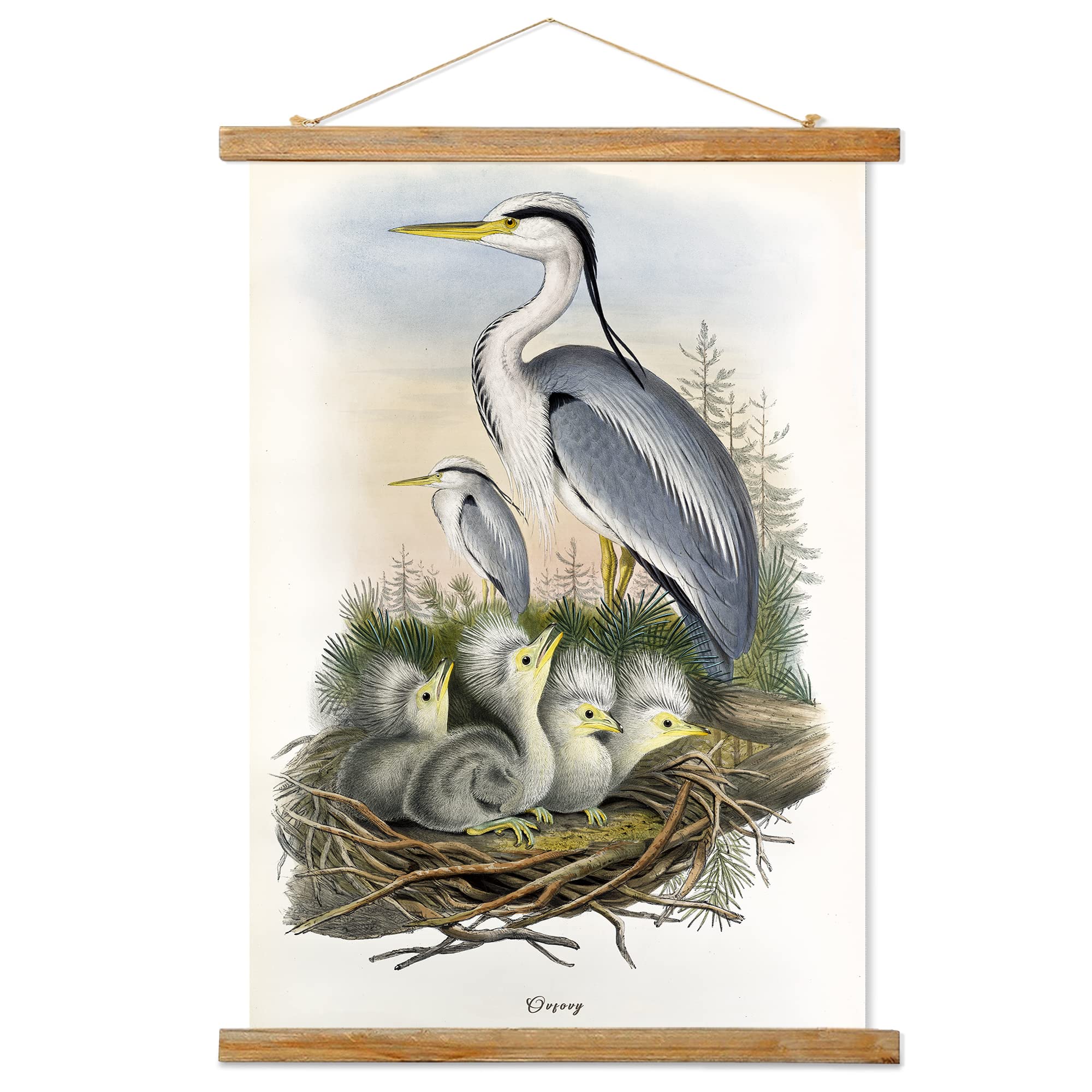 Vintage Waterbird Poster, Rustic Room Aesthetic, Retro Wall Art Prints Without Fading, Printed On Linen With Wood Frames, Ready