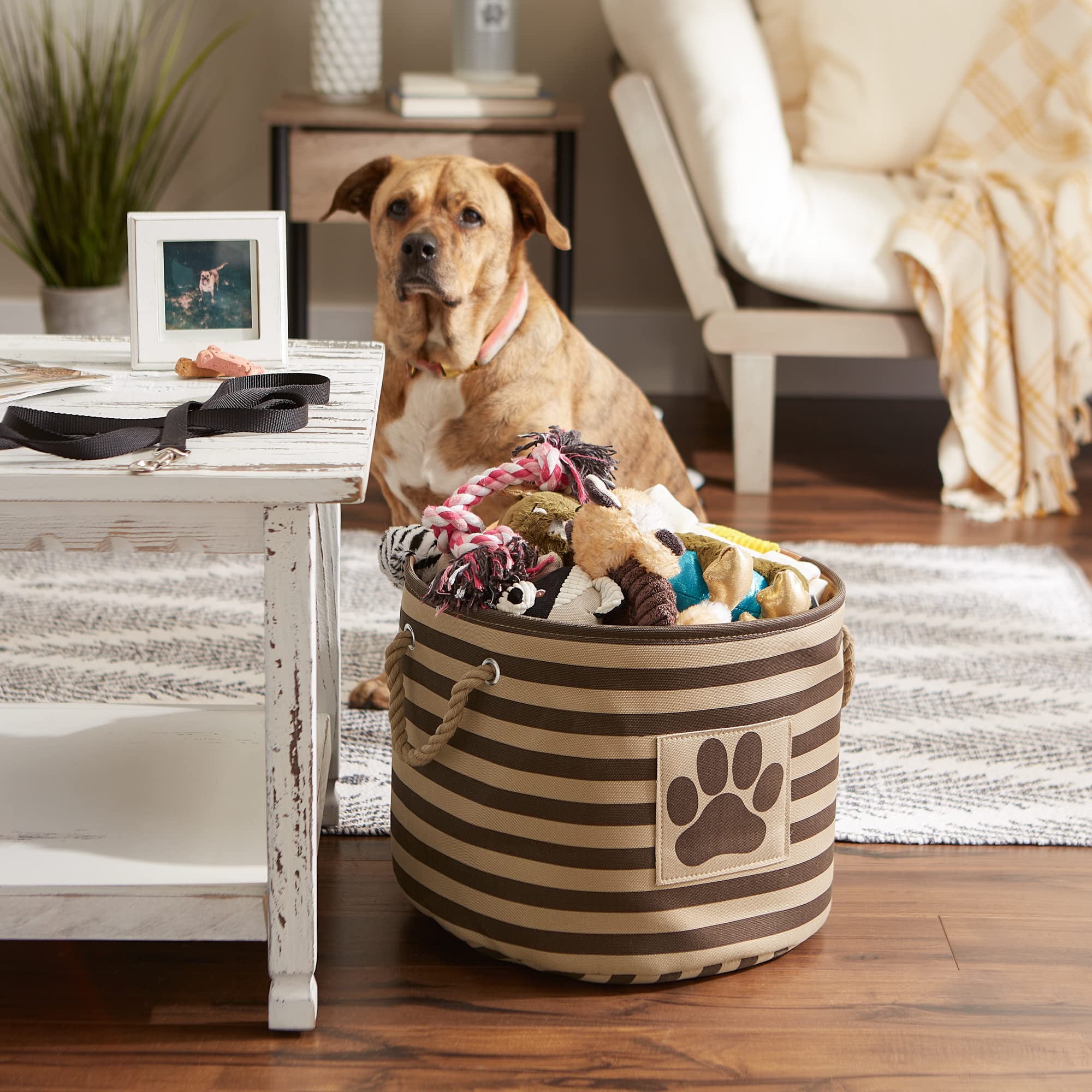 Bone Dry Pet Storage Collection Striped Paw Patch Bin  Medium Round  Brown