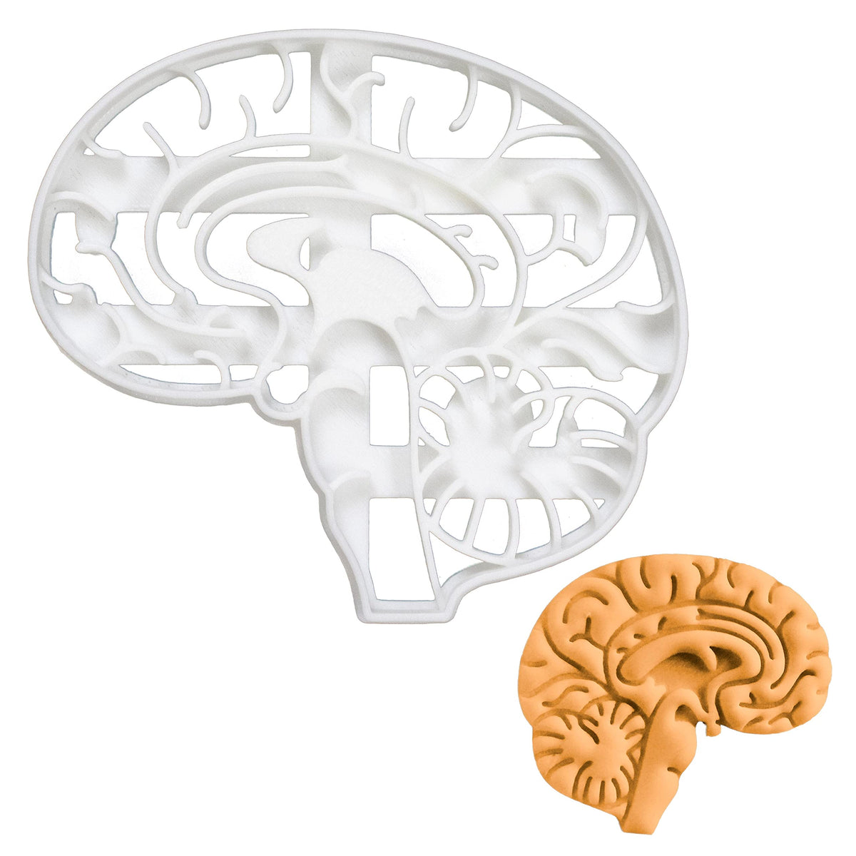 Anatomical Brain Cookie Cutter, 1 Piece - Bakerlogy