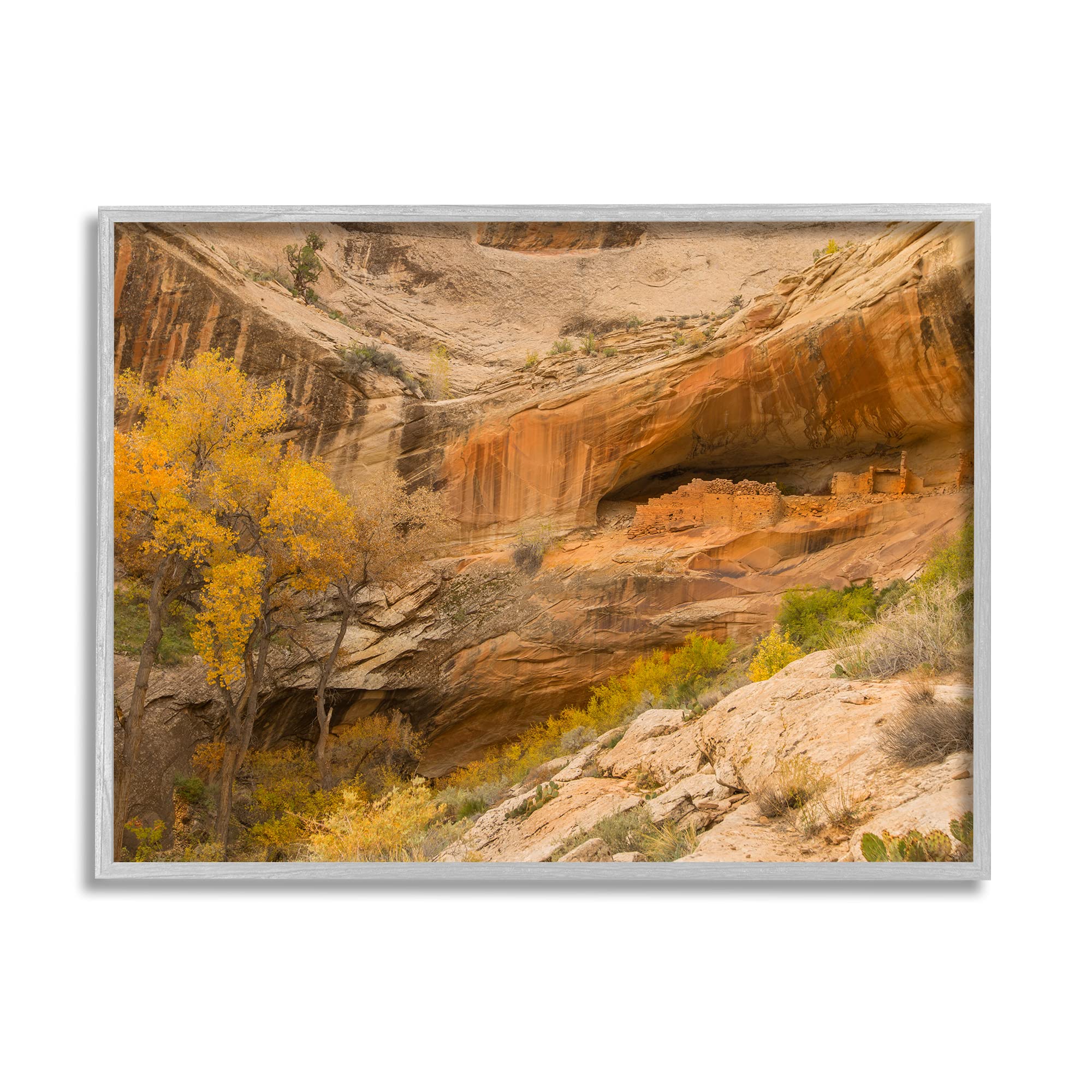 Stupell Industries Desert Foliage Landscape Southwestern Canyon Cliff, Designed By Sally Linden Gray Framed Wall Art, 16 X 20, B