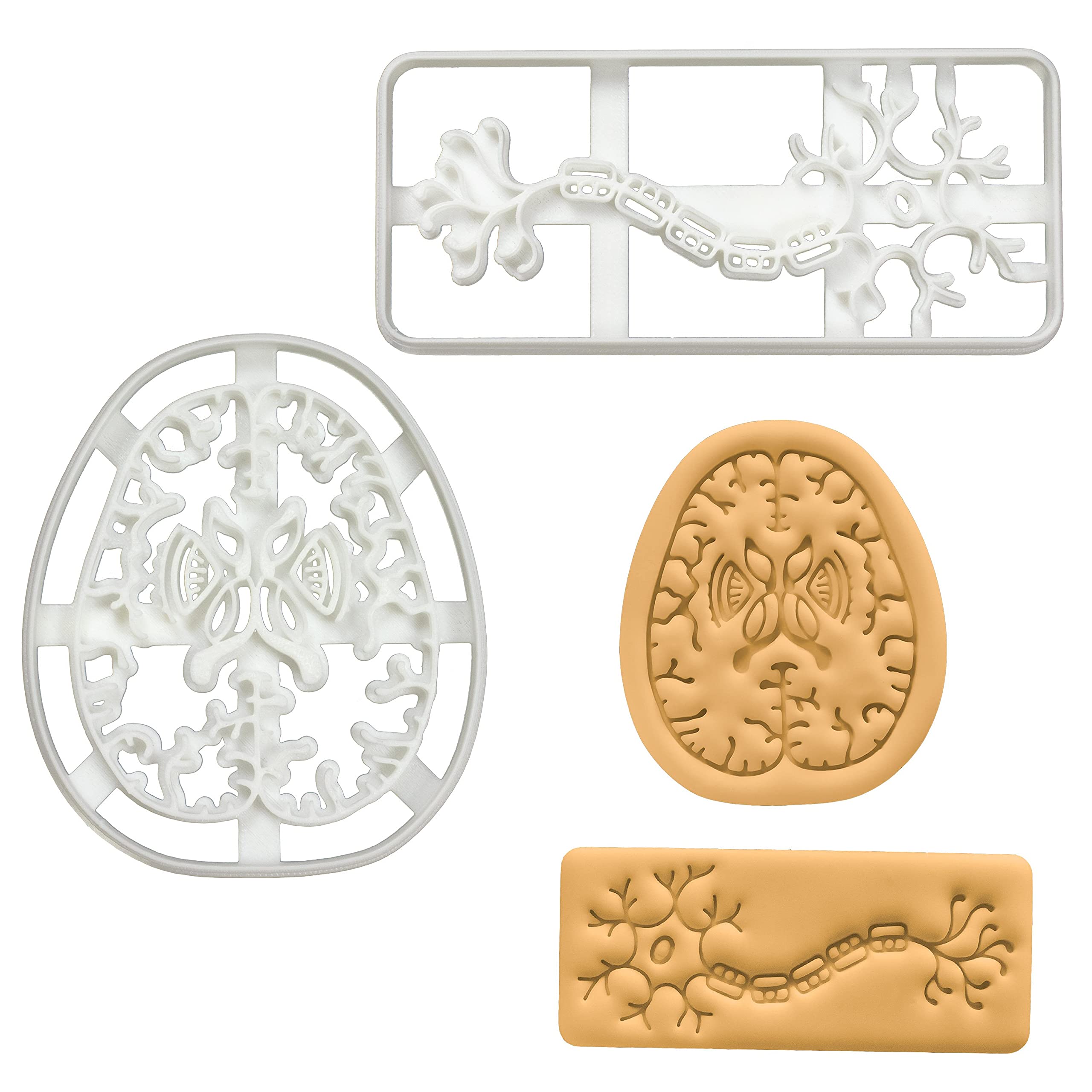 Set Of 2 Cookie Cutters (Designs: Neuron & Brain Axial Section), 2 Pieces - Bakerlogy