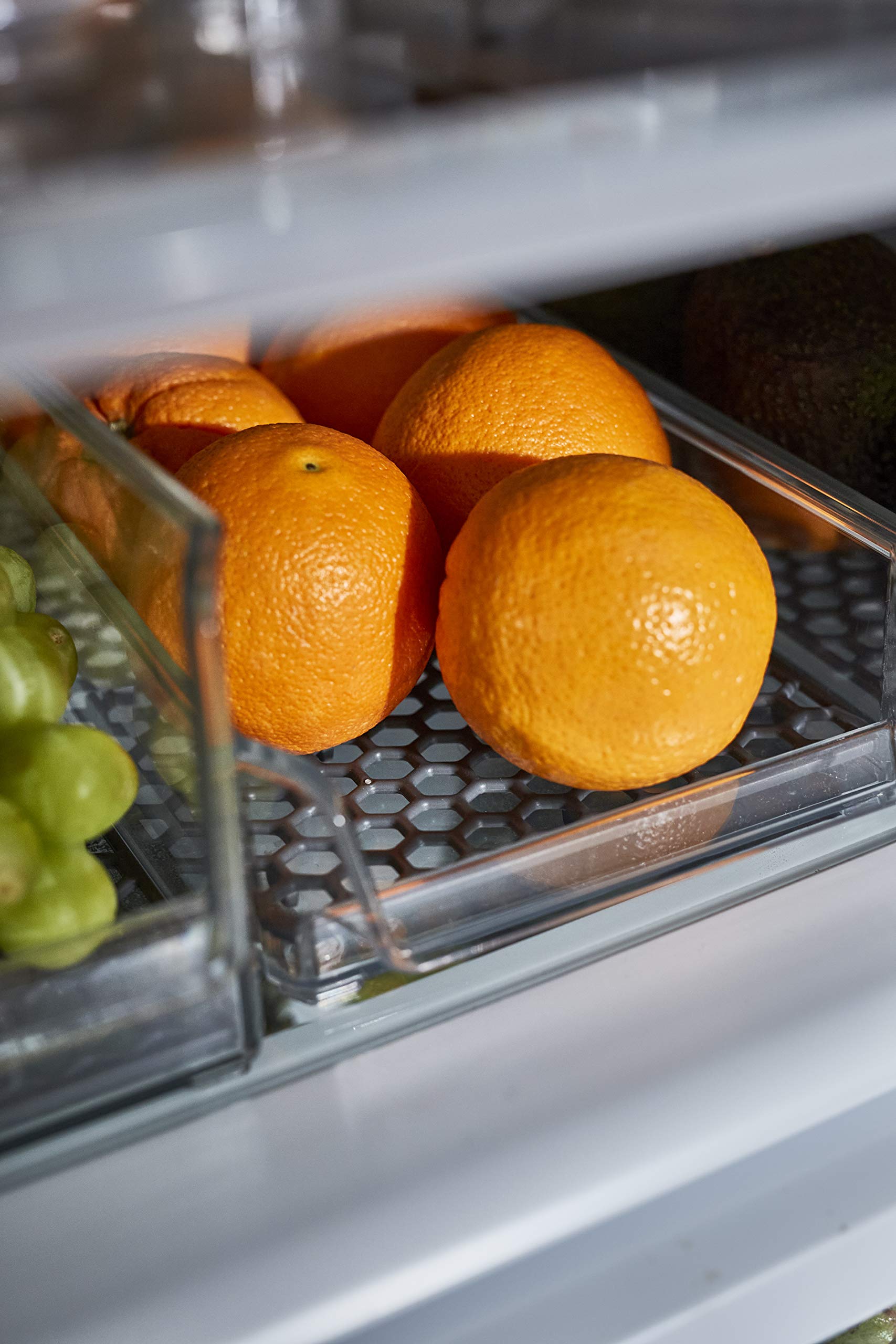 Spectrum Diversified Hexa In-Fridge Small Refrigerator Bin For Storage And Organization Of Fruit Vegetables Produce And More, 15