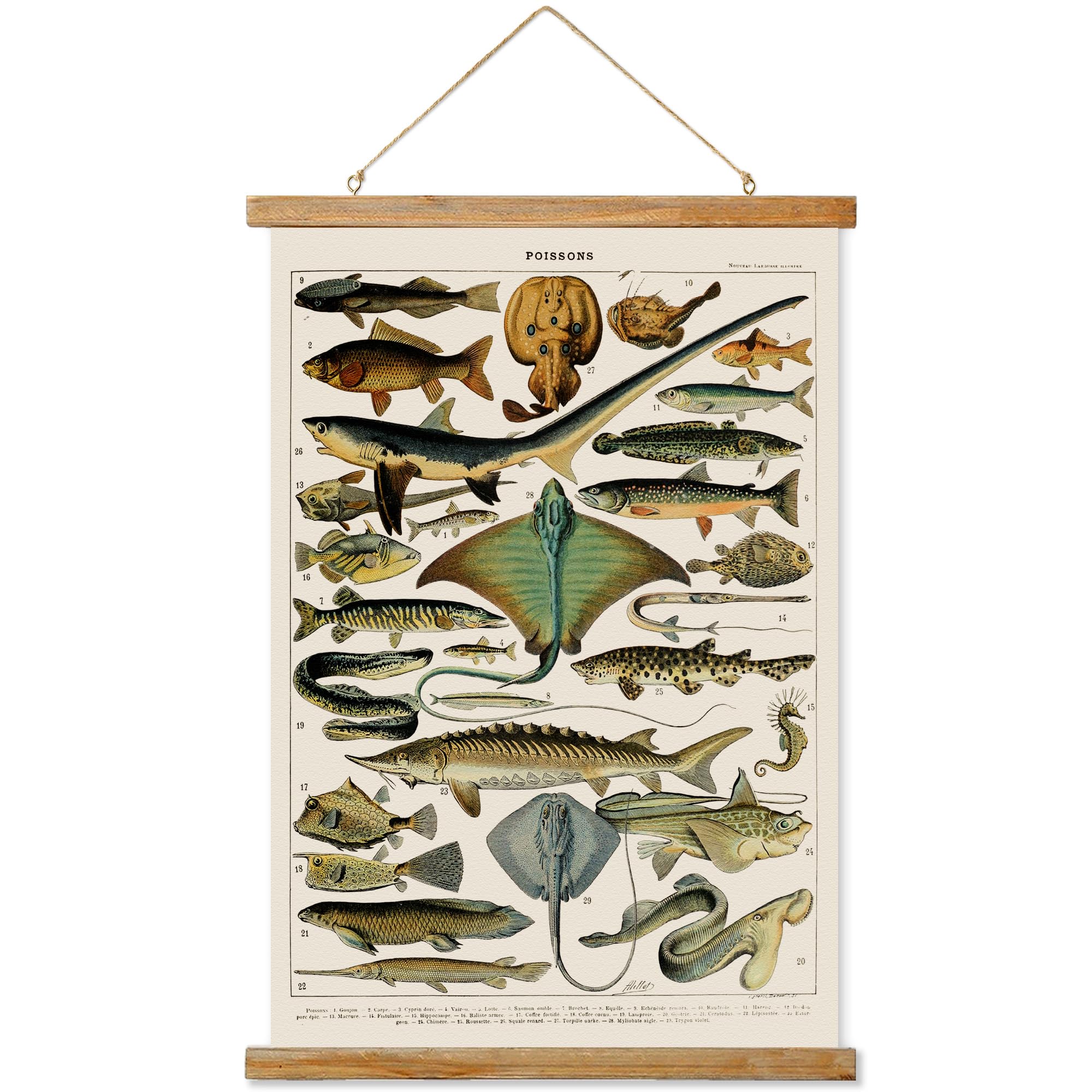 Ovfovy Vintage Fish Poster, Rustic Room Aesthetic, Retro Wall Art Prints Without Fading, Printed On Linen With Wood Frames, Read