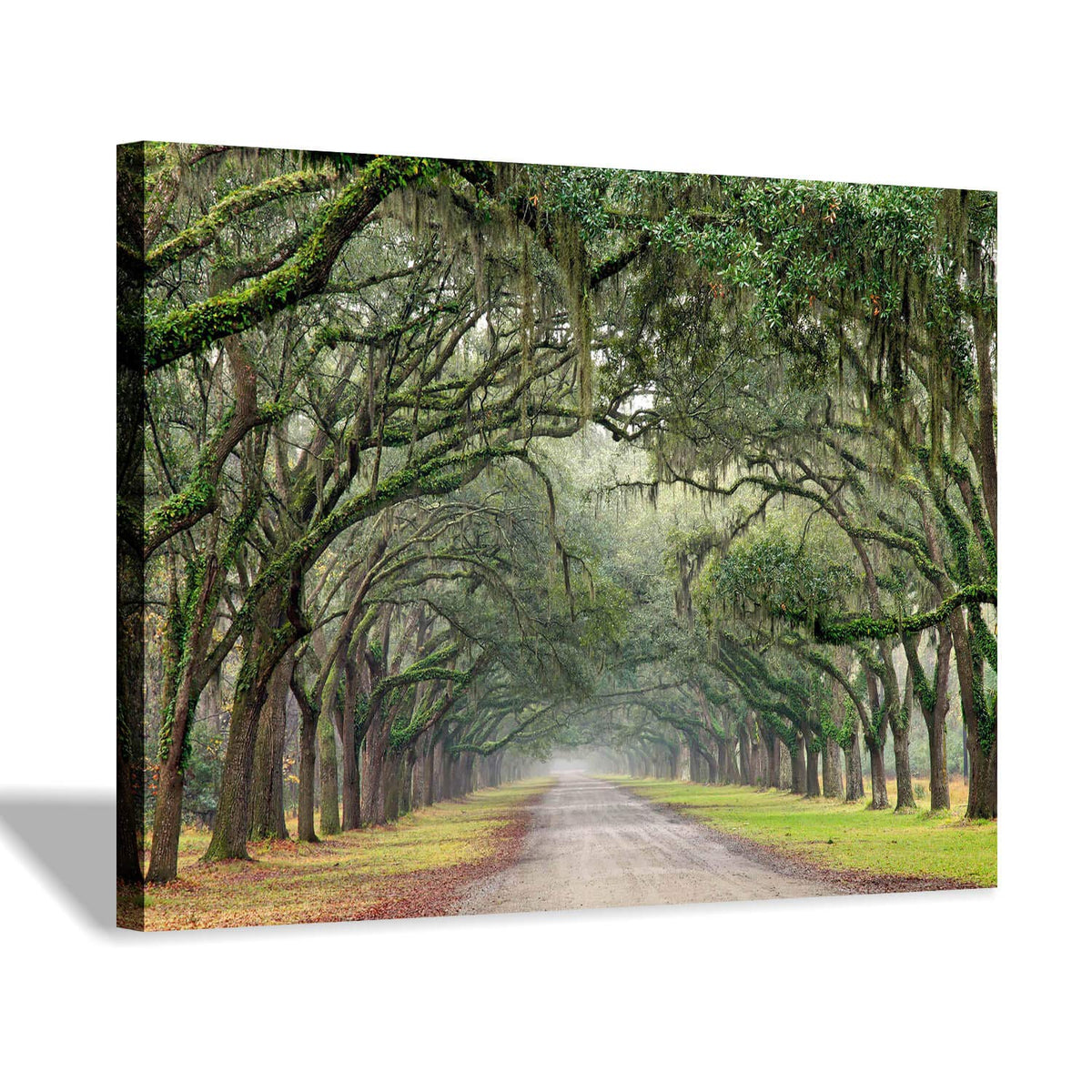 Oak Tree Canvas Wall Art: Green Landscape Artwork Forest Picture Painting Small Size For Bathroom (16 ' ' X 12 ' ' X 1 Panel)