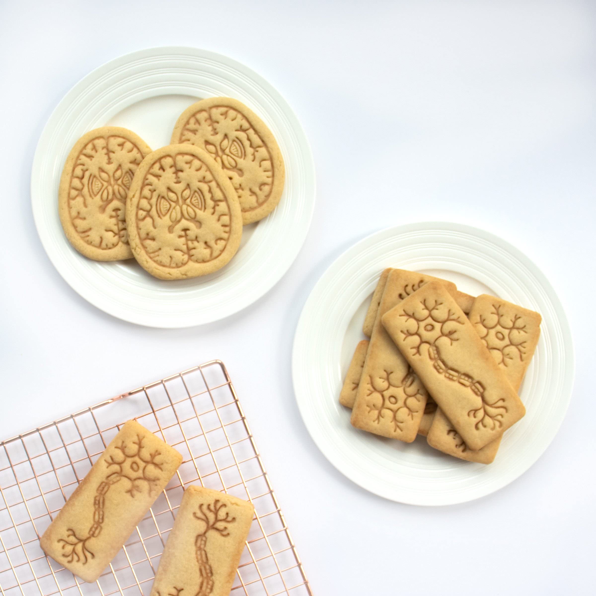 Set Of 2 Cookie Cutters (Designs: Neuron & Brain Axial Section), 2 Pieces - Bakerlogy