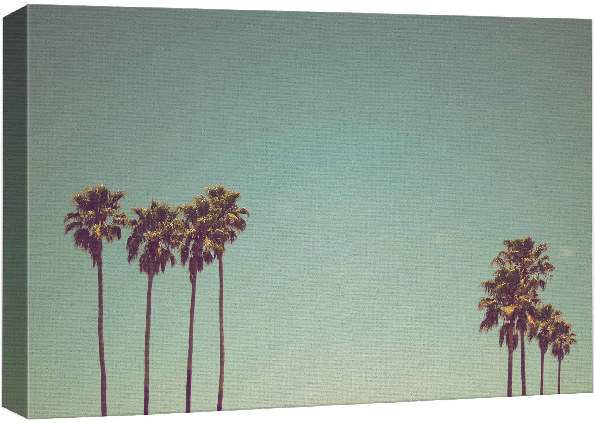 Wall26 Canvas Print Wall Art Vintage Style Palm Trees & Teal Sky Floral Plants Photography Realism Rustic Scenic Colorful Multic