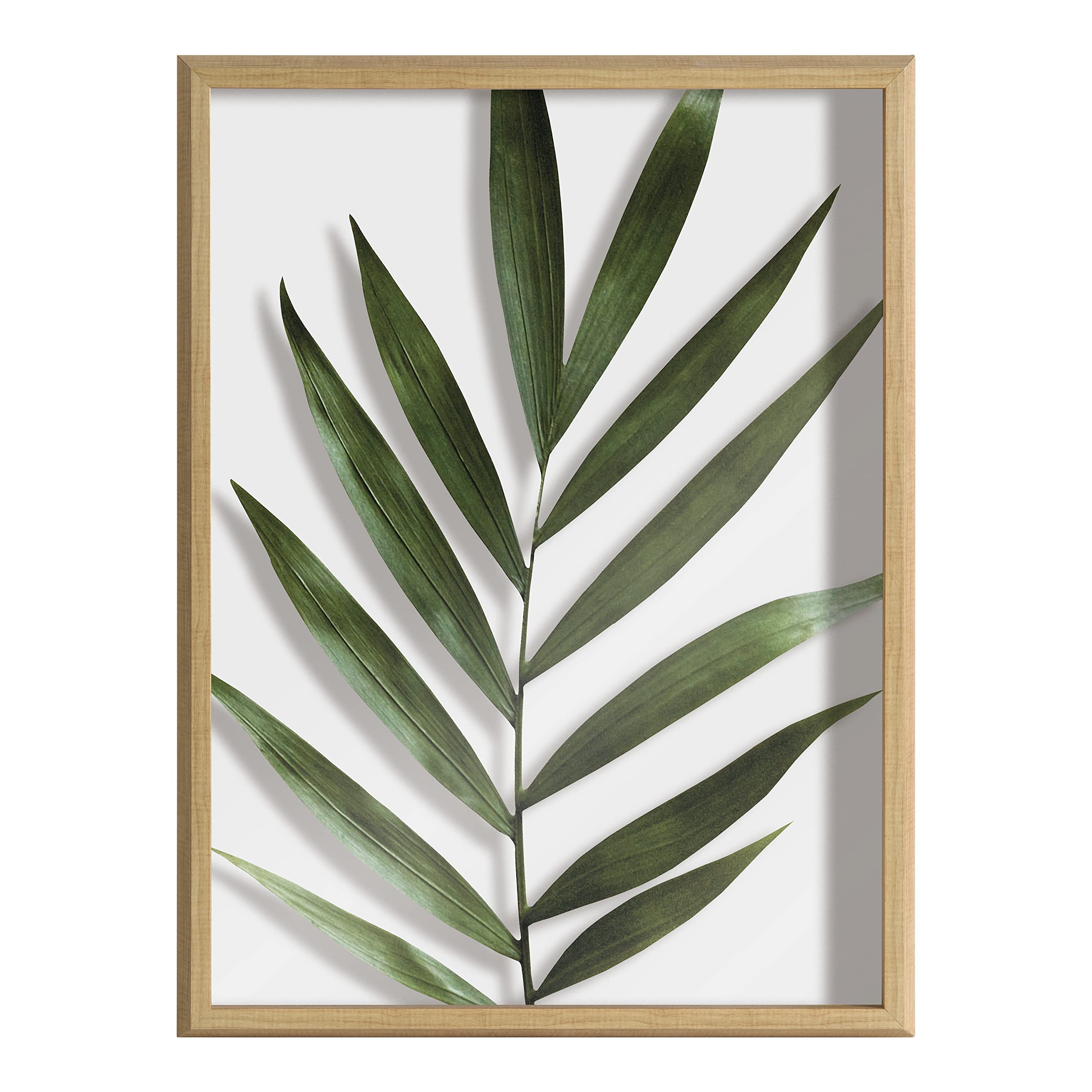Kate And Laurel Blake Botanical 5F Framed Printed Glass Wall Art By Amy Peterson Art Studio, 18X24 Natural, Modern Wall Decor In