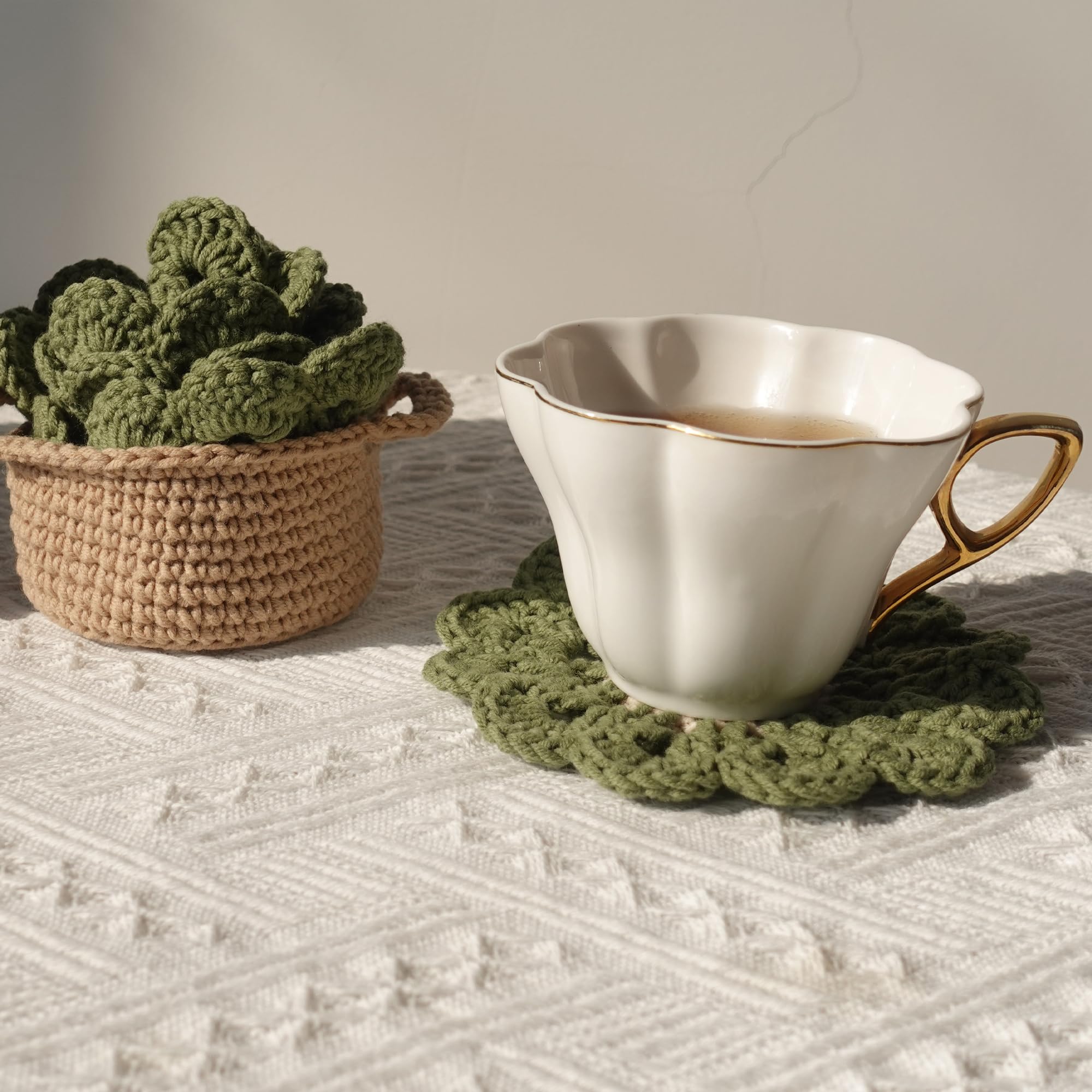 Dicha Crochet Leaf Pot Coasters-Container Beverage Coaster Sets With Holder Bar Coasters For Drinks Coffee Table Desk-Succulent