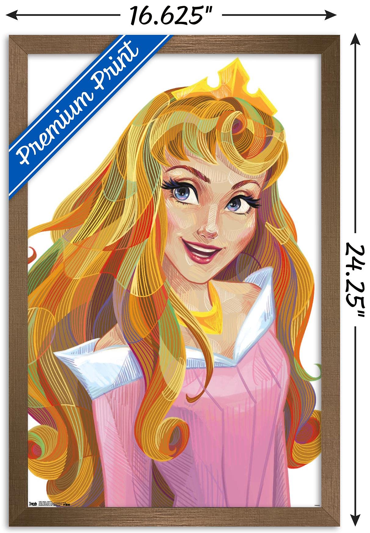 Trends International Disney Sleeping Beauty - Aurora - Stylized Wall Poster, 14.725'' X 22.375'', Bronze Framed Version