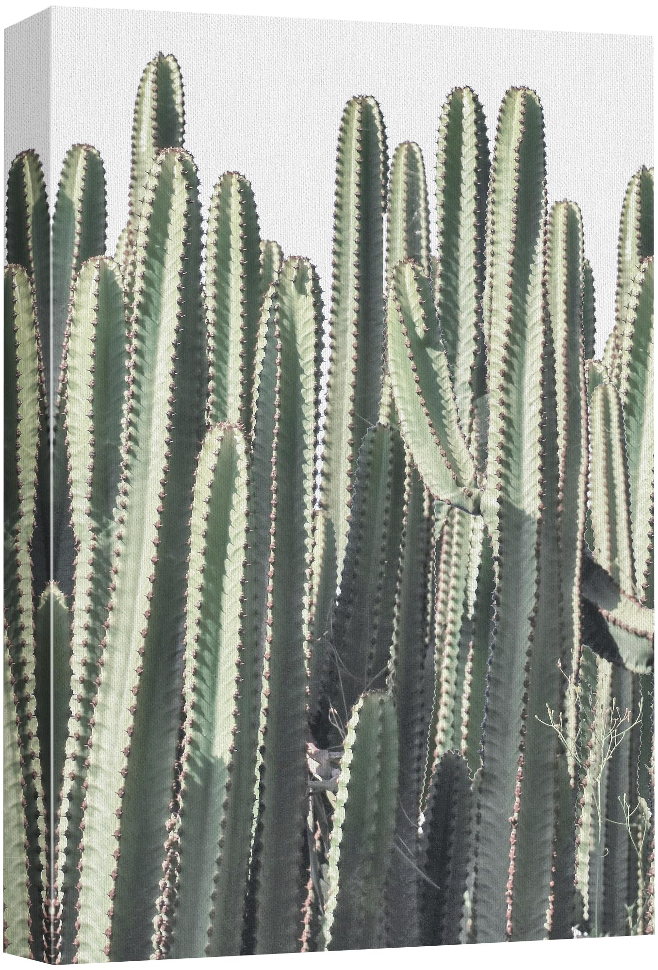 Wall26 Canvas Print Wall Art Vibrant Green Cacti Garden Bold Desert Flora Nature Wilderness Photography Modern Art Decorative Co