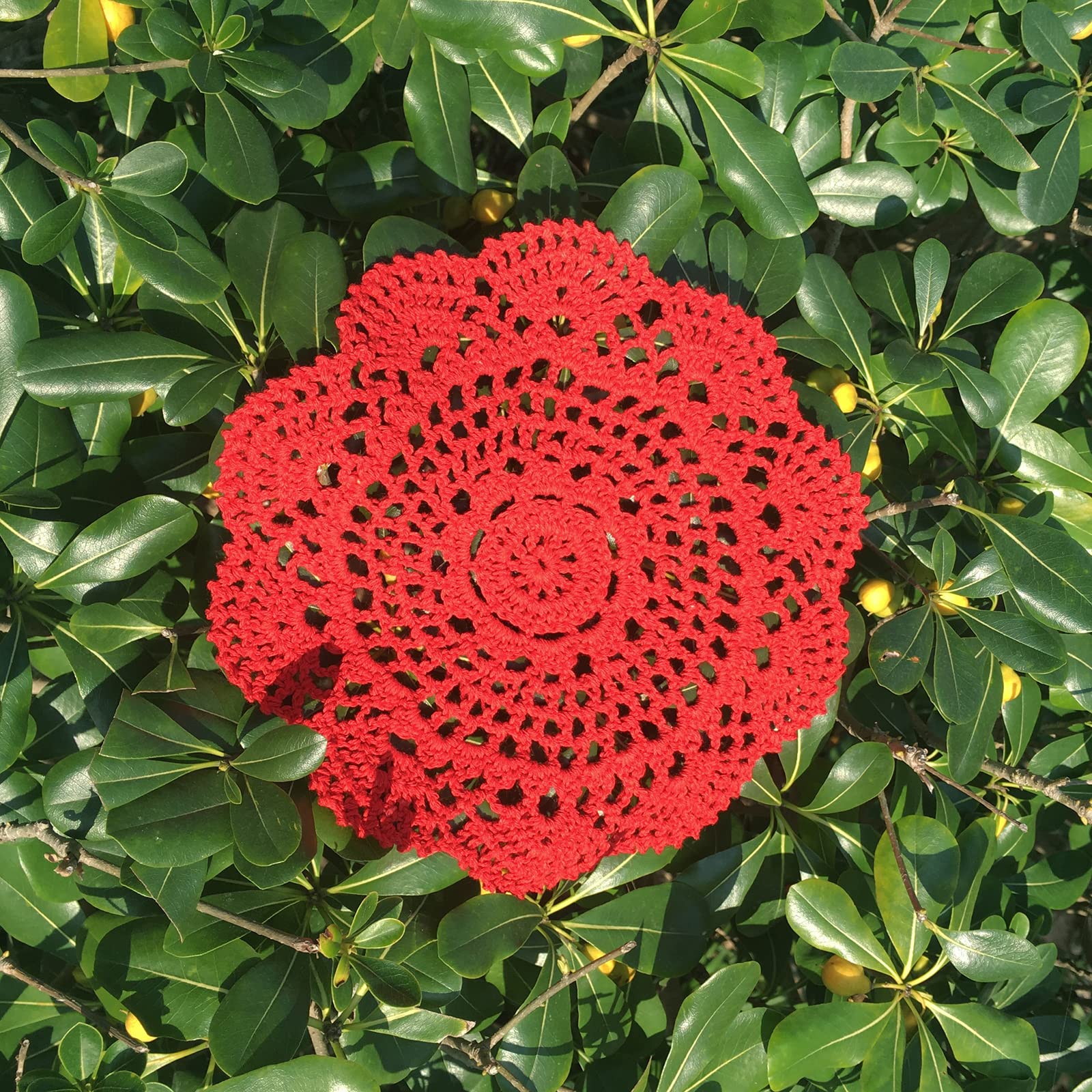 Hsvanyr Round Crochet Lace Doily Floral Design Fabric Coasters Doilies Value Pack, 4 Pcs/Set Lace Doilies (Red)