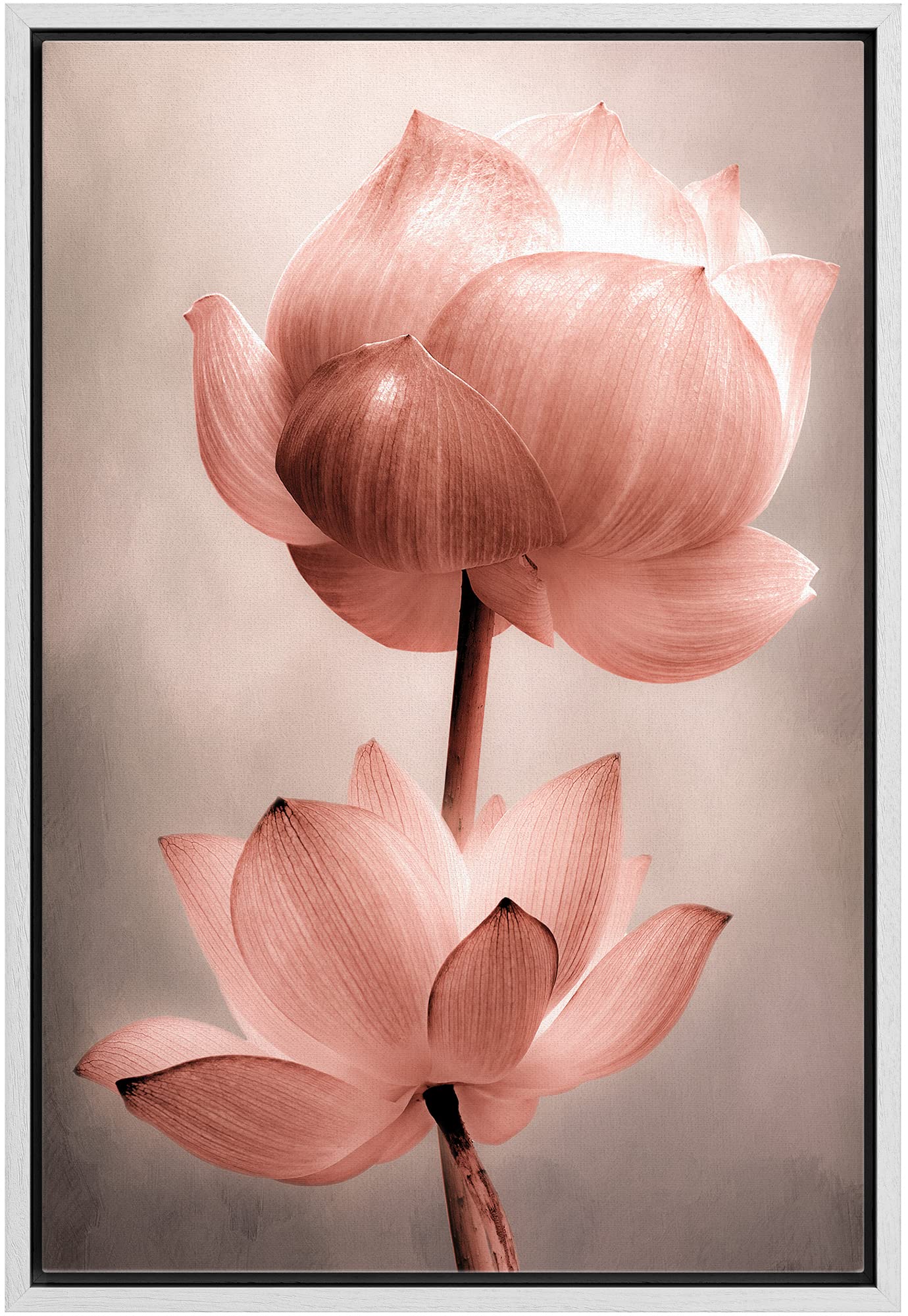 Wall26 Framed Canvas Wall Art - Closeup Of Lotus Flower - Gallery Wrap Modern Home Art | Ready To Hang - 24''X36'' White
