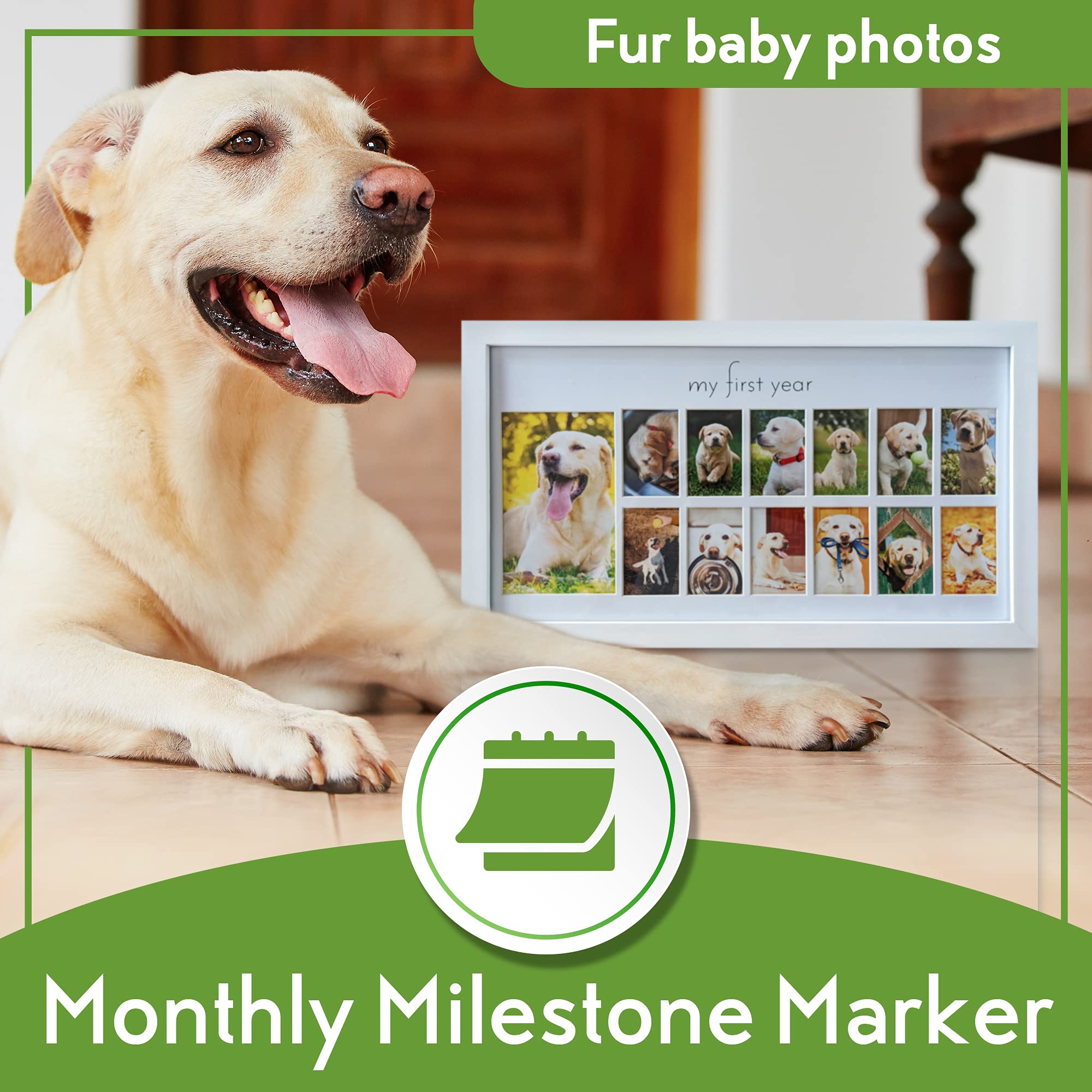 Green Pollywog  My First Year Picture Frame for Dogs  12 Month Photo Frame  White Wood Frame  Fur Baby Frame  Fur Baby Milestone Picture Display  Dog Keepsake Frame  Dog Birthday Gift