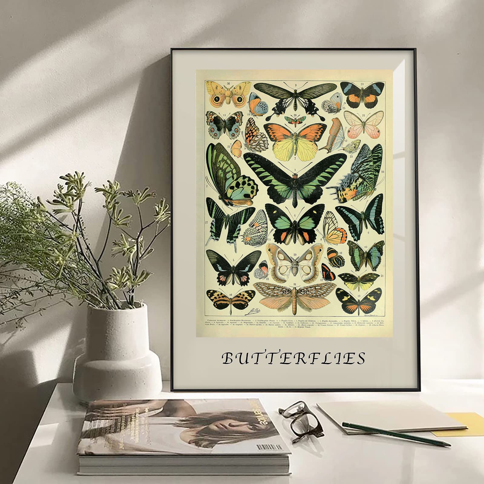 Ovfovy Unframed Paper Vintage Butterflies Poster, Unframed Wall Art Print