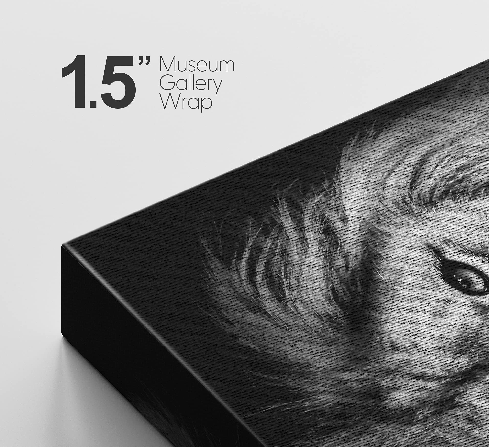 Signford Canvas Print Wall Art Portrait Of Lion Animals Wildlife Photography Realism Modern Closeup Dramatic Dark Black And Whit