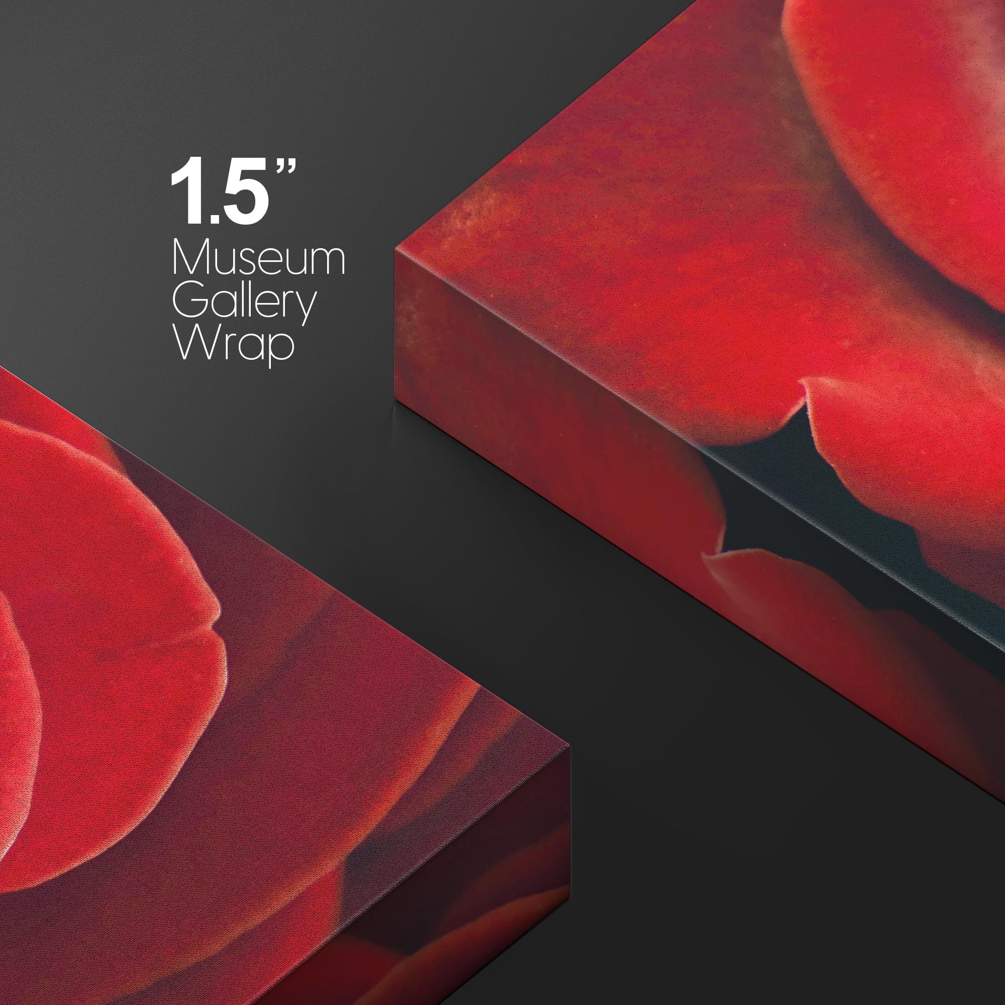 Wall26 Canvas Print Wall Art Close Up Detail Red Romantic Rose Flower Nature Floral Photography Realism Botanical Wilderness Zen