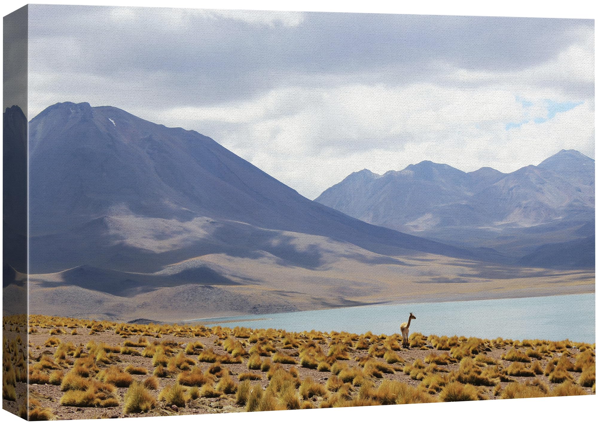 Signford Canvas Print Wall Art Andean Mountains South American Landscape Photography Realism Decorative Scenic Multicolor Landsc
