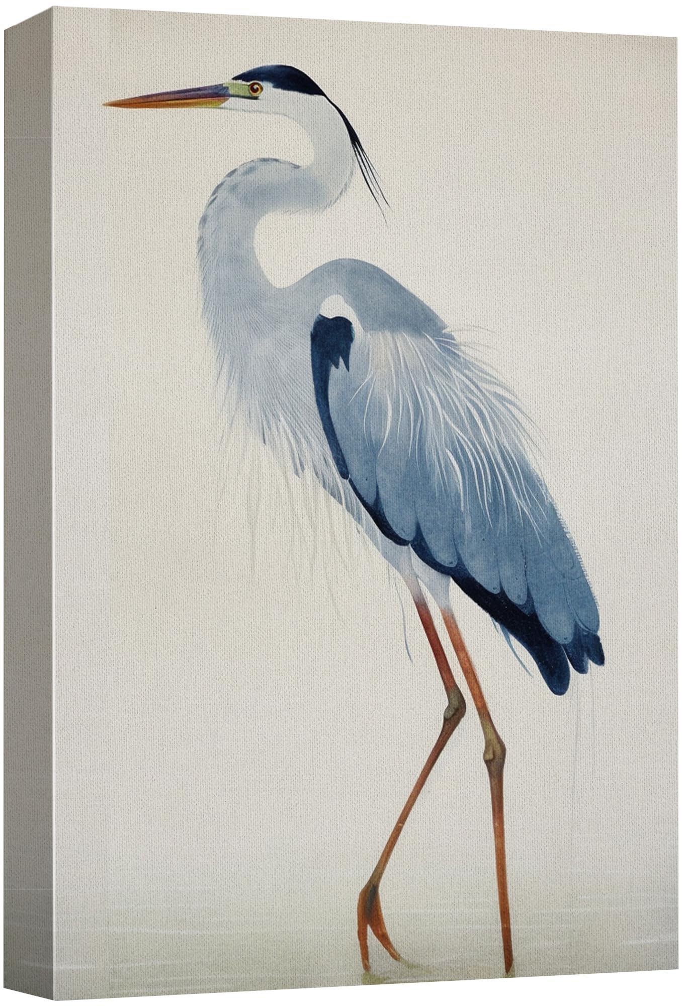 Wall26 Canvas Print Wall Art Watercolor Pastel Blue Heron Galapagos Bird Animals Wilderness Illustrations Modern Art Antique Vin