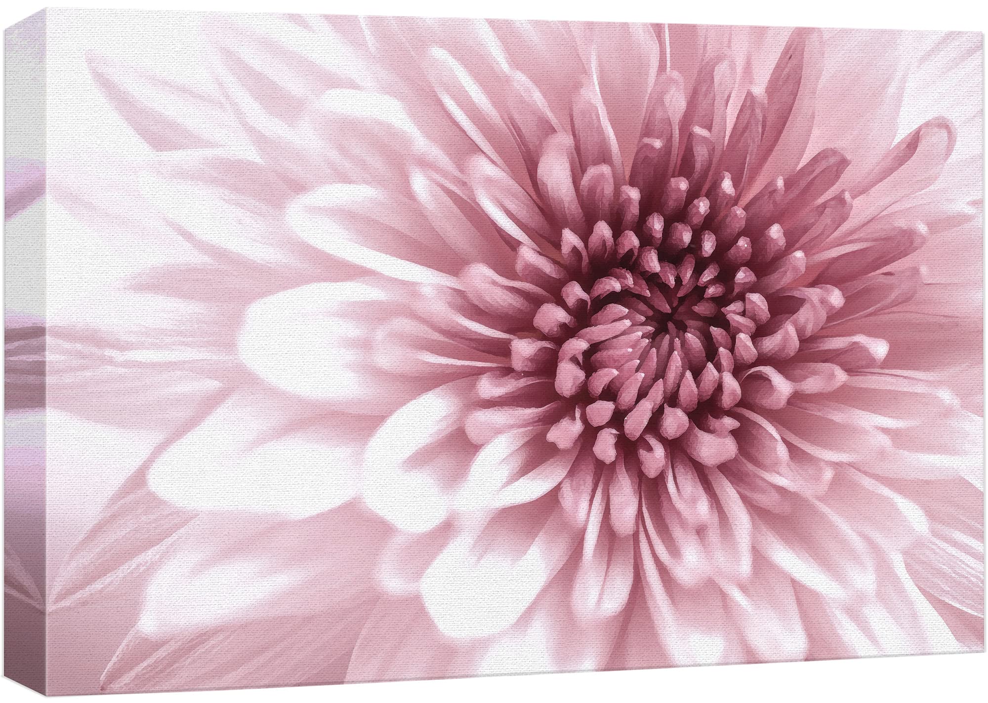 Wall26 Canvas Print Wall Art Close Up Details Of Pink Chrysanthemum Flowers Floral Botanical Photography Modern Art Chic Scenic