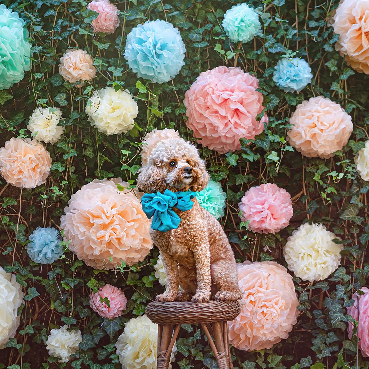 Avoseta Pastel Tissue Paper Pom Poms - Set Of 20 - Sizes Of 6'', 8'', 10'', 14'' - Paper Flower Party Decorations For Birthdays,