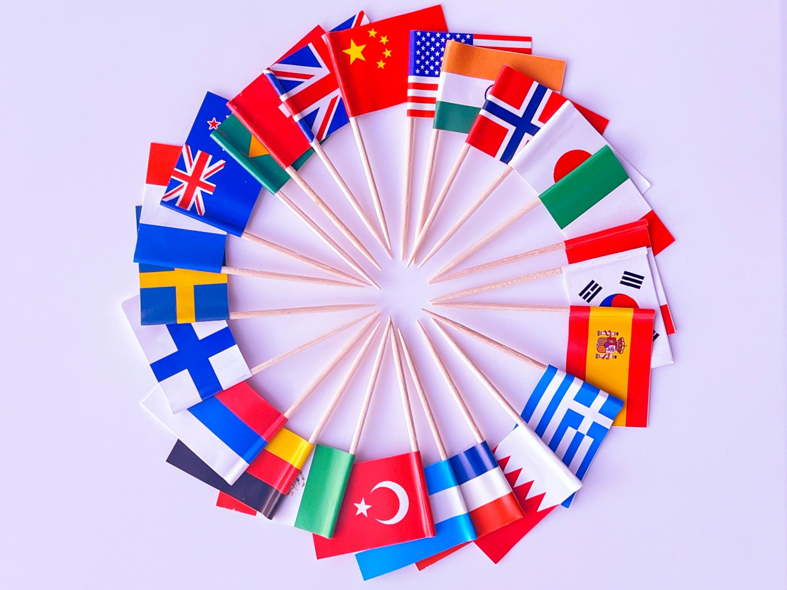 Stidsds 24 Countries Toothpick Flags Mini Small Country National Cupcake Toppers Stick Flag World International Festival Party D