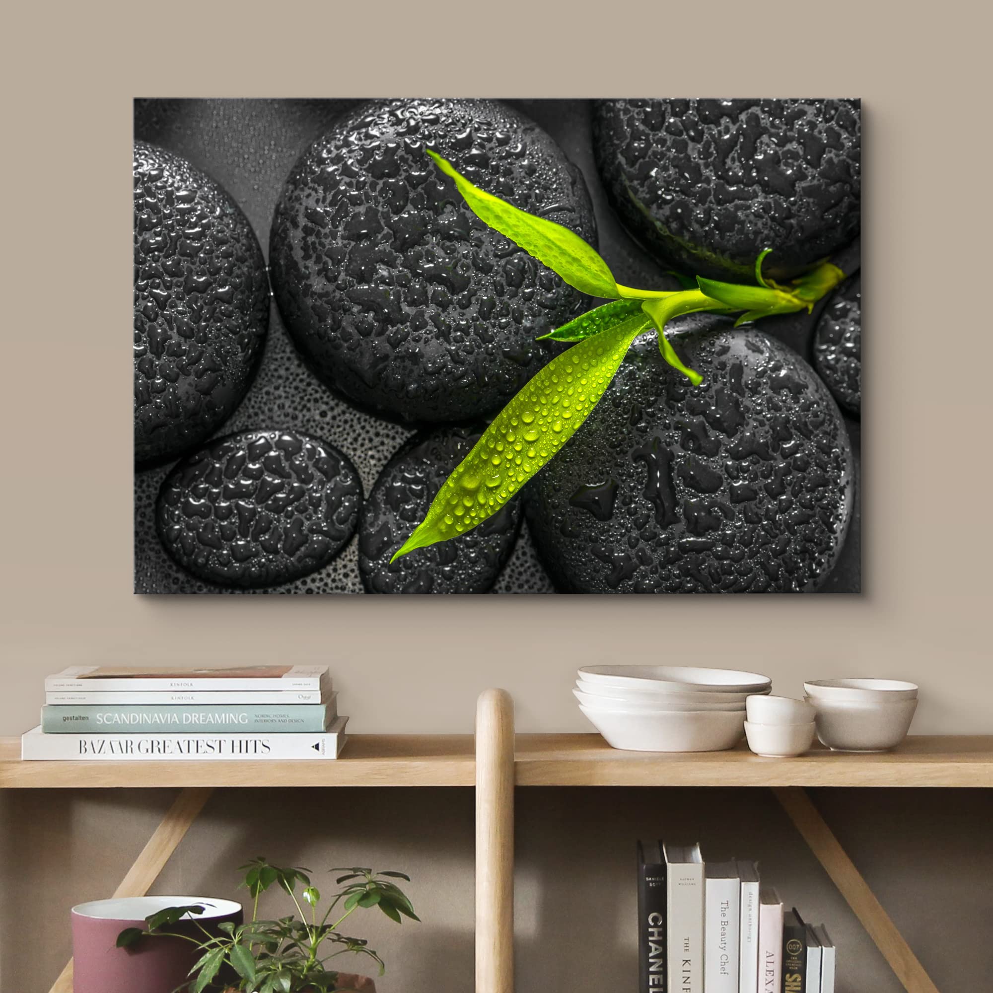 Wall26 Canvas Print Wall Art Sprouting Green Plant Over Dark Black Stones Floral Nature Photography Realism Bohemian Scenic Rela