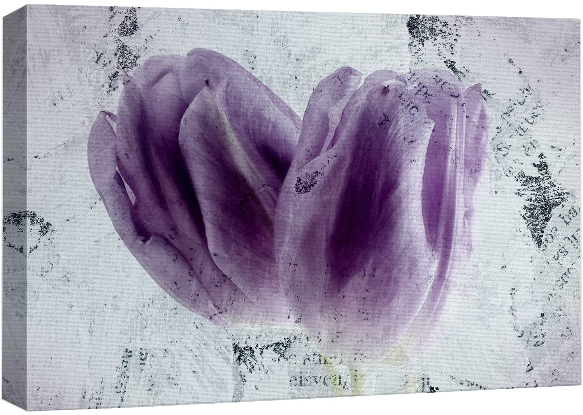 Wall26 - Canvas Wall Art - Two Purple Tulip Flower Petals - Gallery Wrap Modern Home Art | Ready To Hang - 12X18 Inches