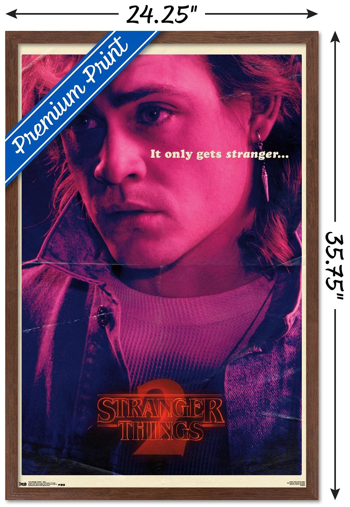 Trends International Netflix Stranger Things: Season 2 - Billy Wall Poster, 22.375'' X 34'', Mahogany Framed Version