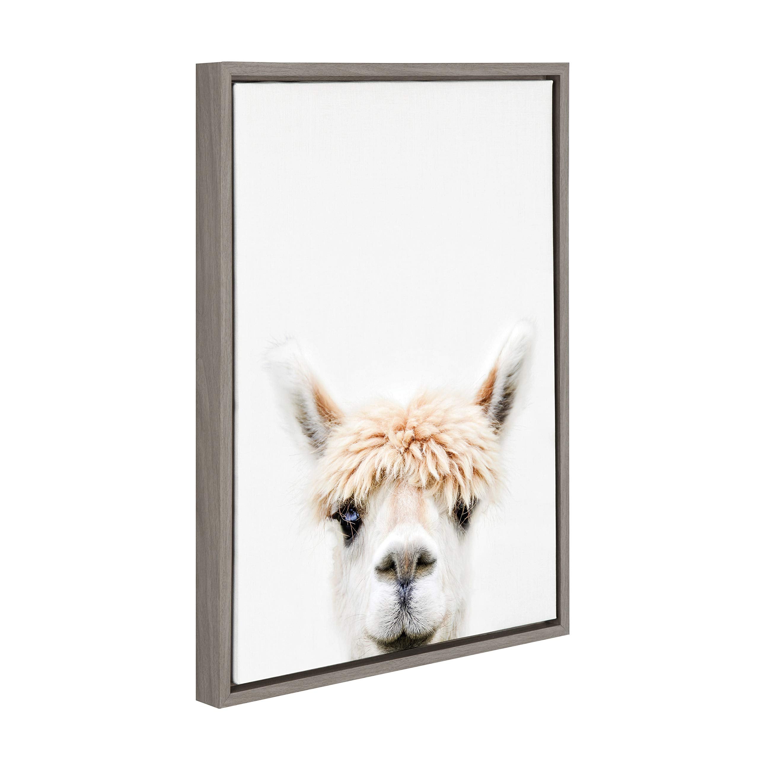 Kate and Laurel Sylvie Alpaca Bangs Animal Print Portrait Framed Canvas Wall Art by Amy Peterson  18x24 Gray