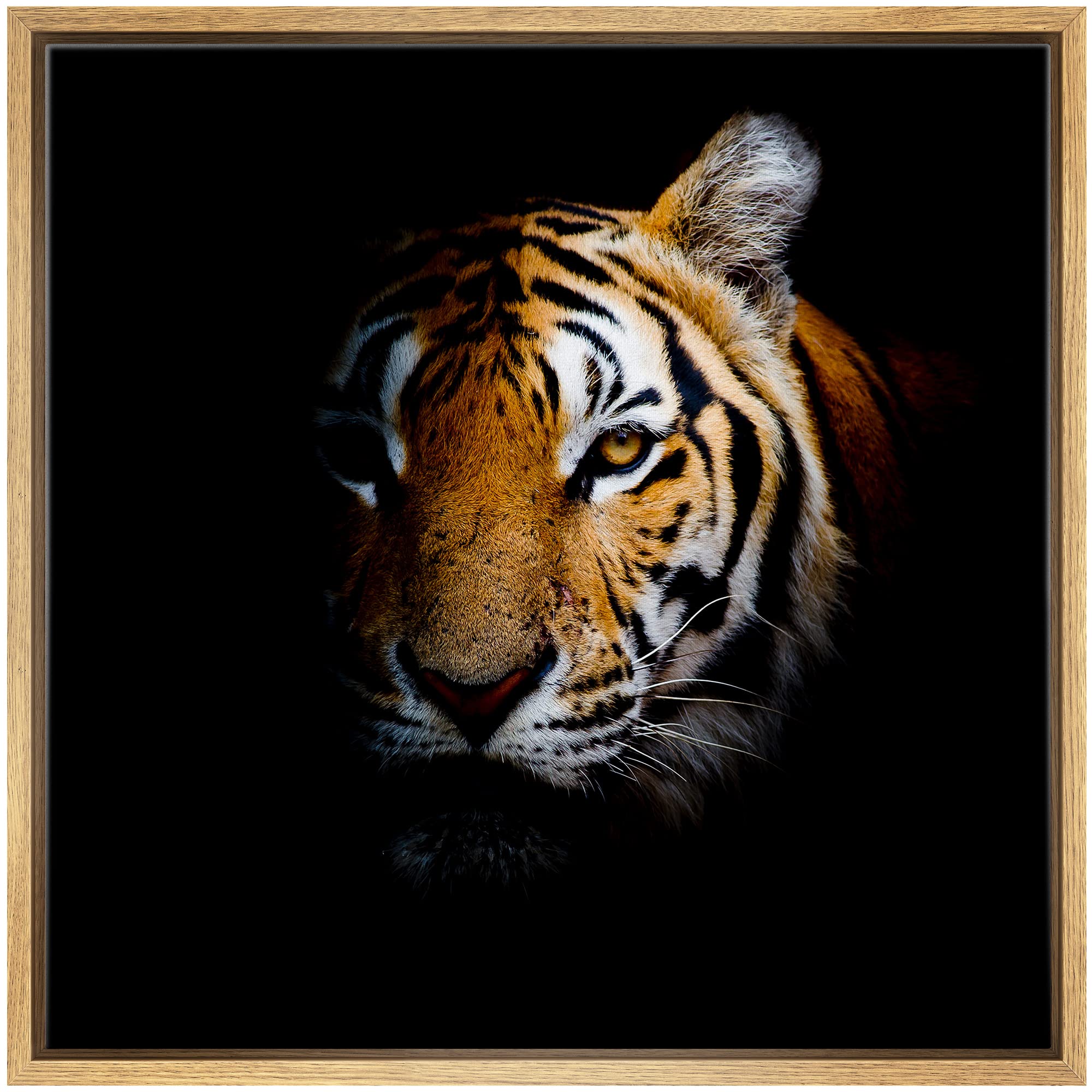 Framed Canvas Prints Wall Art - Tiger Head In Dark | Modern Home Deoration/Wall Art Giclee Printing Wrapped Framed Canvas Art Re