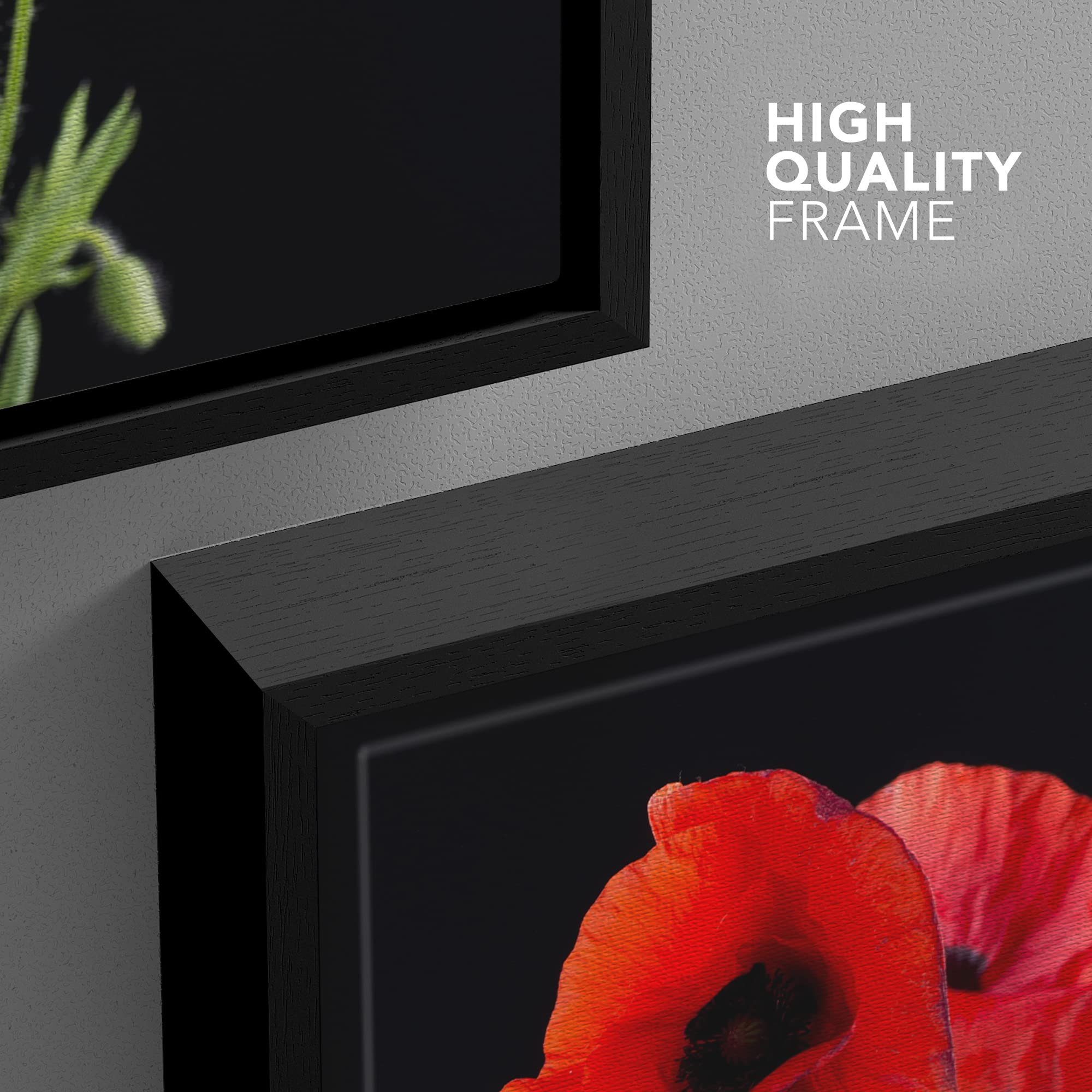 Wall26 Framed Canvas Print Wall Art Red Poppy Bouquet On Dark Background Floral Botanical Photography Modern Art Rustic Scenic R