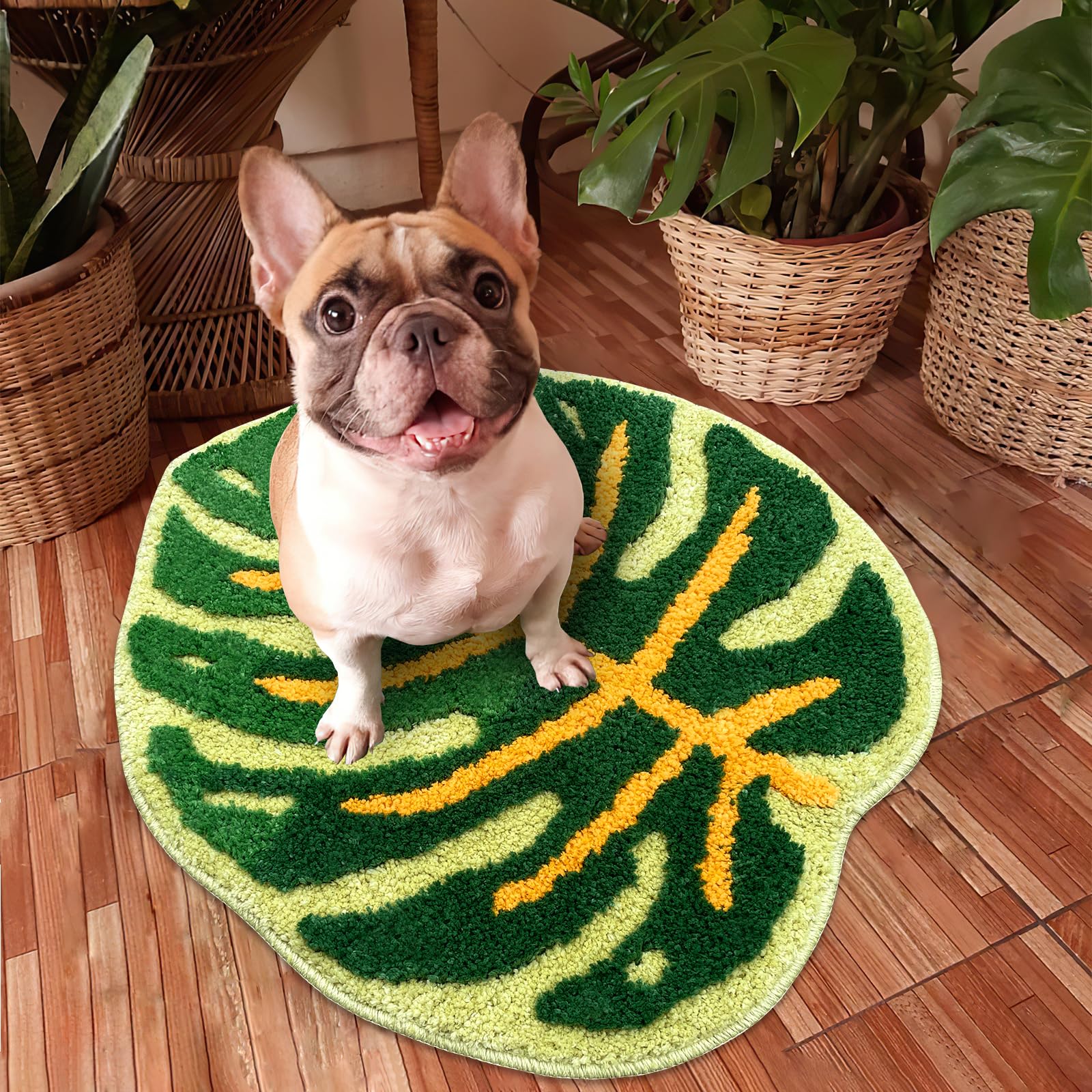 Sisher Cute Bathroom Rugs Monstera Leaf Rug Non-Slip Bathroom Mat, Absorbent, Fun Bath Mat,Machine Washable For Room Geen(22''X2