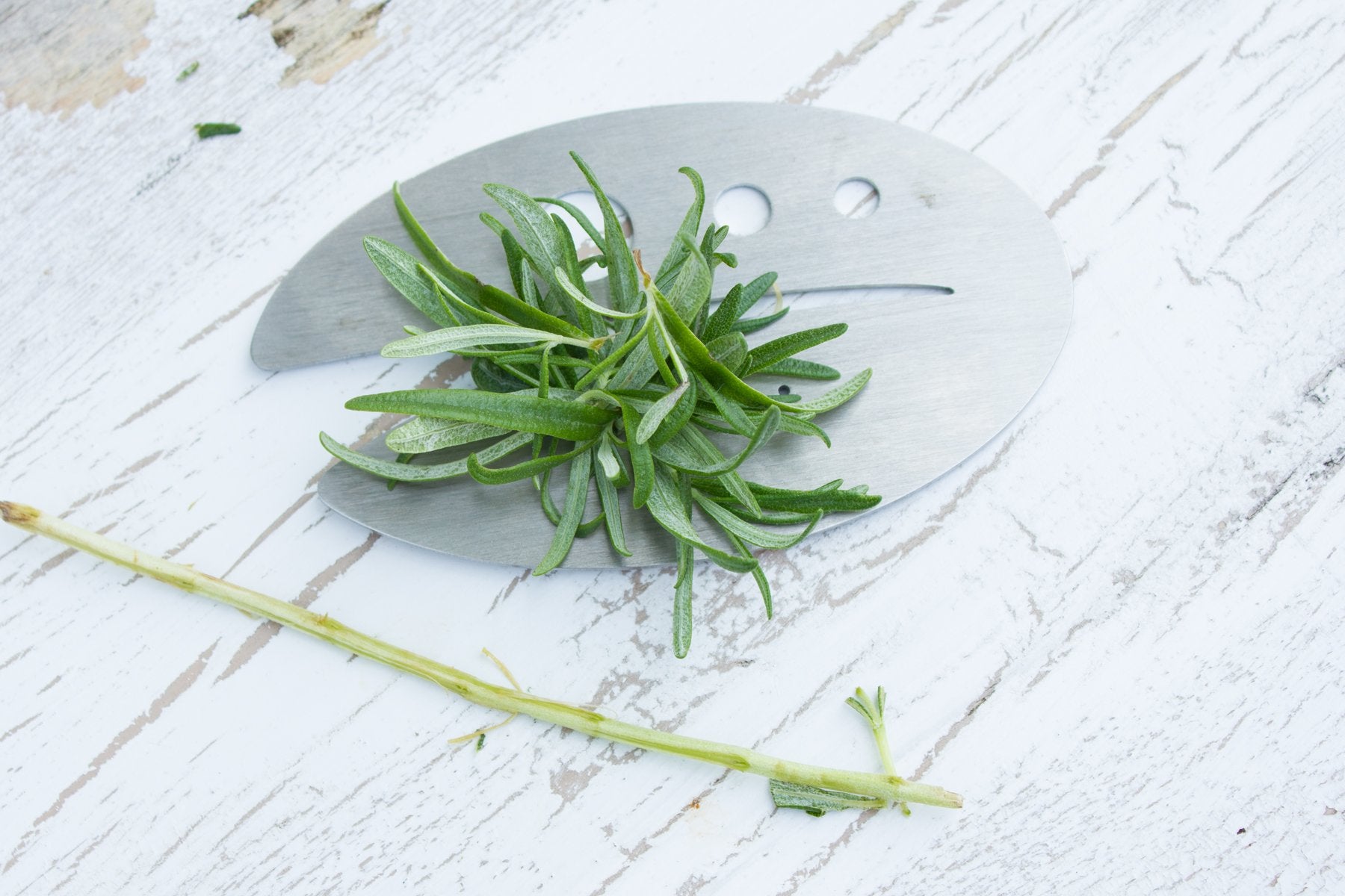 Raw Rutes Kale Razor - Stainless Steel Herb Stripping Tool - Made in the USA - Perfect for Kale & Herb Stems - Model COMINHKPR138365