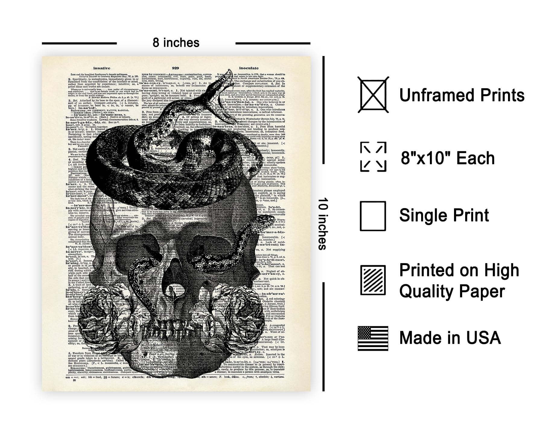 Poster Master Dictionary Art Poster - Skull Snakes And Roses Print - Skeleton Art - Snake Art - Flower Art - Gift For Him, Her -