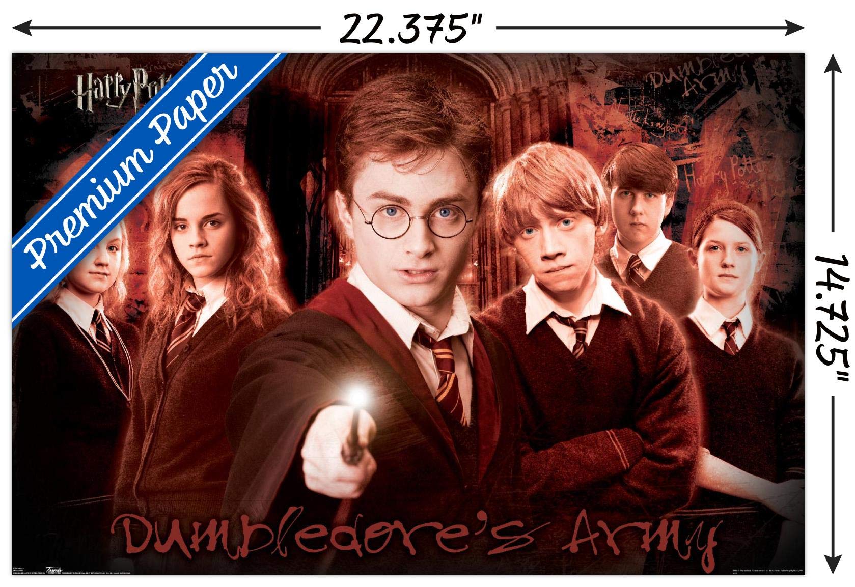 Trends International Harry Potter And The Order Of The Phoenix-Group Wall, 14.725'' X 22.375'', Premium Poster & Mount Bundle