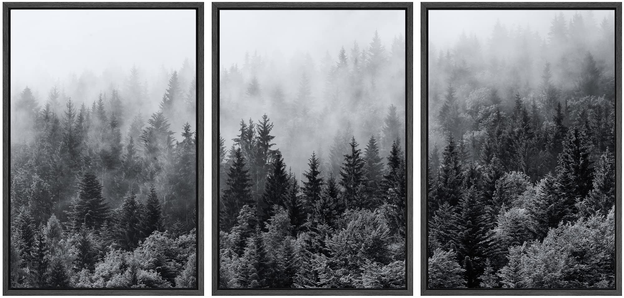 Signwin Framed Canvas Print Wall Art Set Black & White Misty Mountain Forest Nature Wilderness Photography Modern Art Chic Lands
