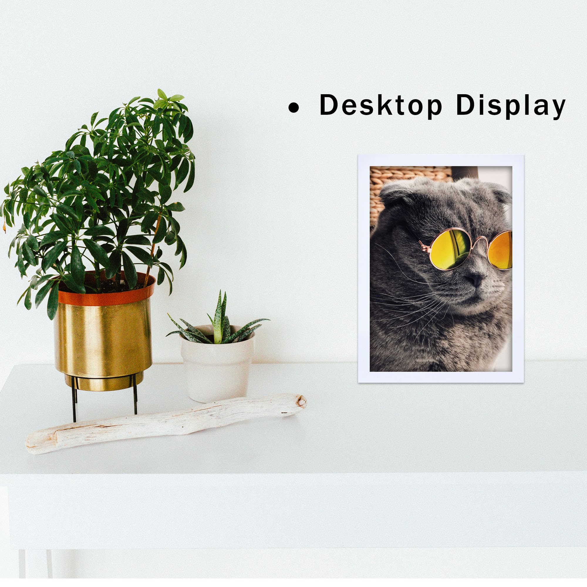 THCASITO Picture Frames 8x12 White Photo Frames without Mat for Wall and Tabletop Decor, Set of 2