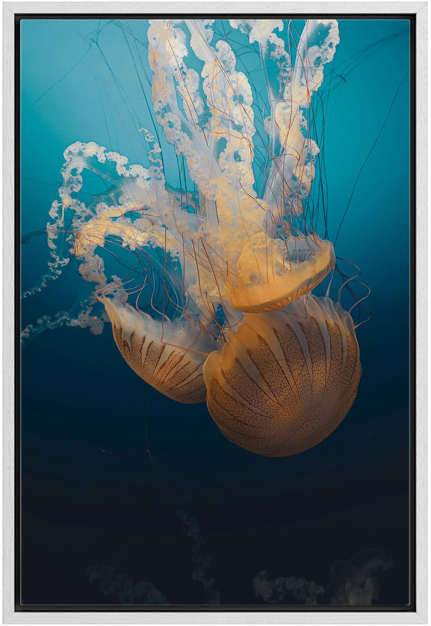 Wall26 Framed Canvas Print Wall Art Jellyfish Floating In Deep Blue Ocean Animals Photography Realism Rustic Scenic Landscape Wi