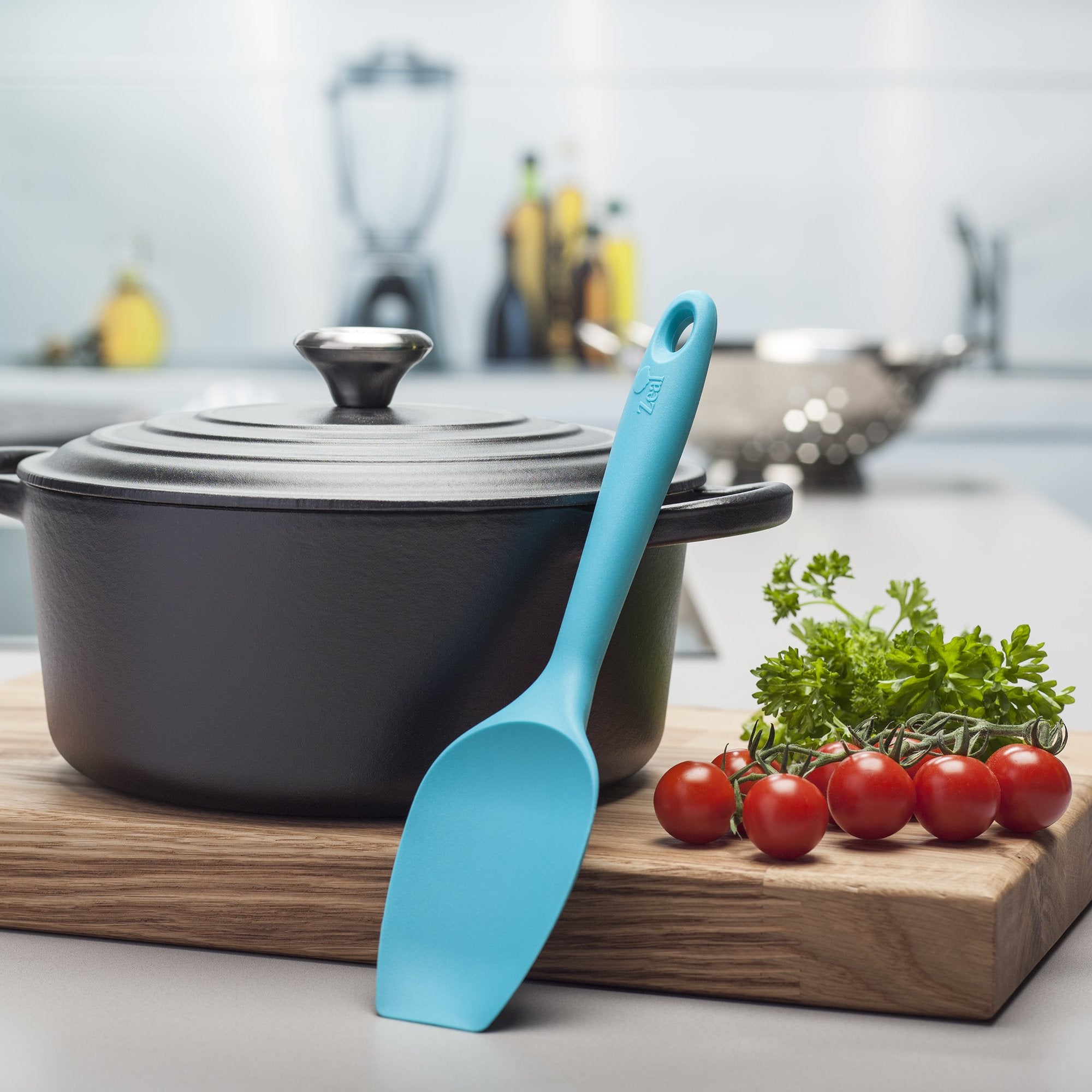 Zeal Silicone Non-Scratch Spatula Spoon Aqua (10   /26Cm)