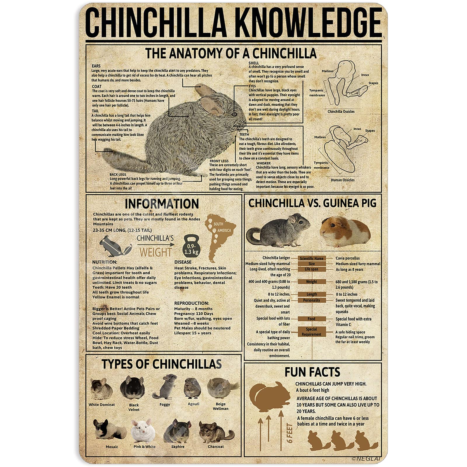 NEGLAI CHINCHILLA Knowledge Metal Signs Poster, Vintage Wall Decor Farmhouse Decorations 16x12 Inches