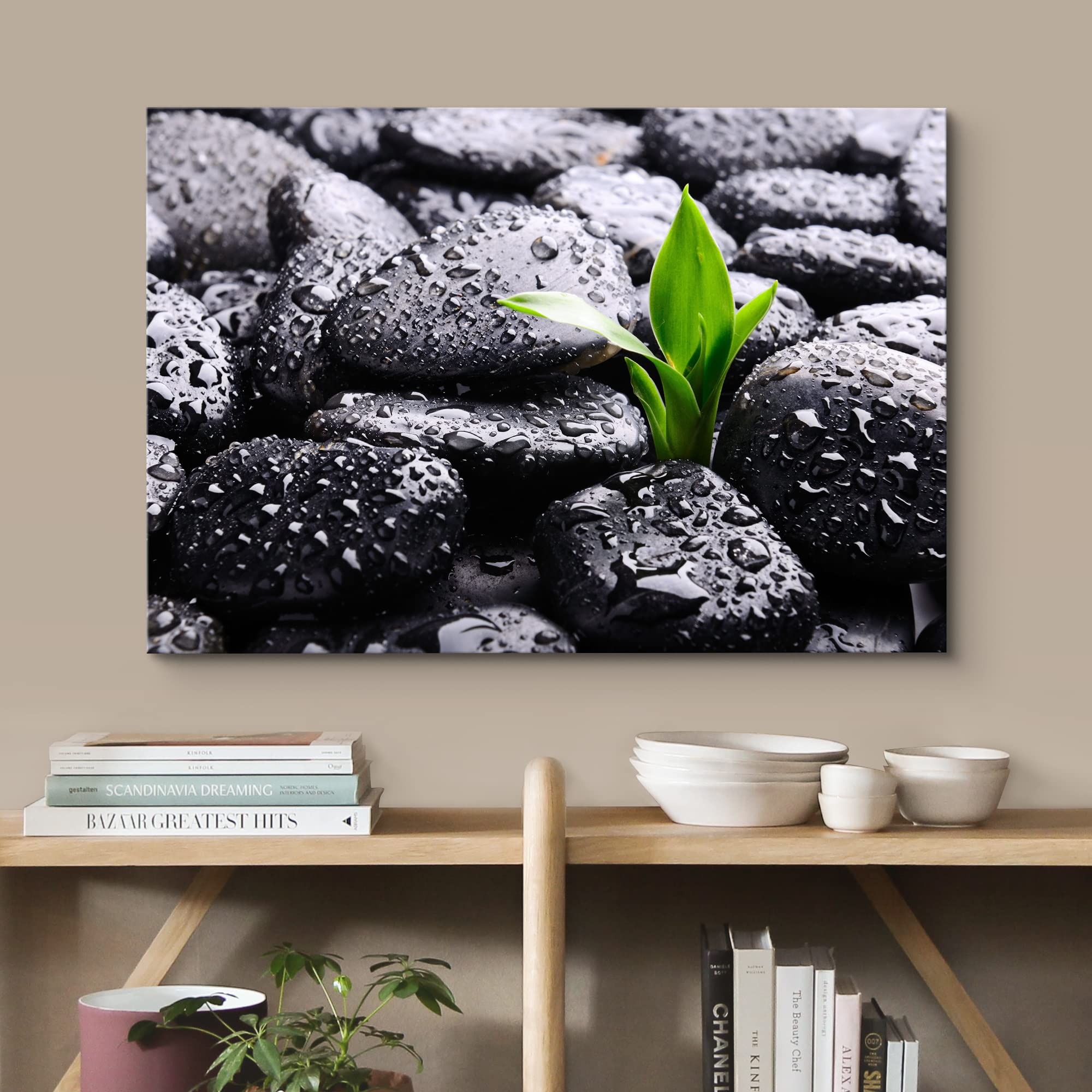 Wall26 Canvas Print Wall Art Raindrops On Black Rocks With Sprouting Plant Floral Nature Photography Realism Bohemian Scenic Rel
