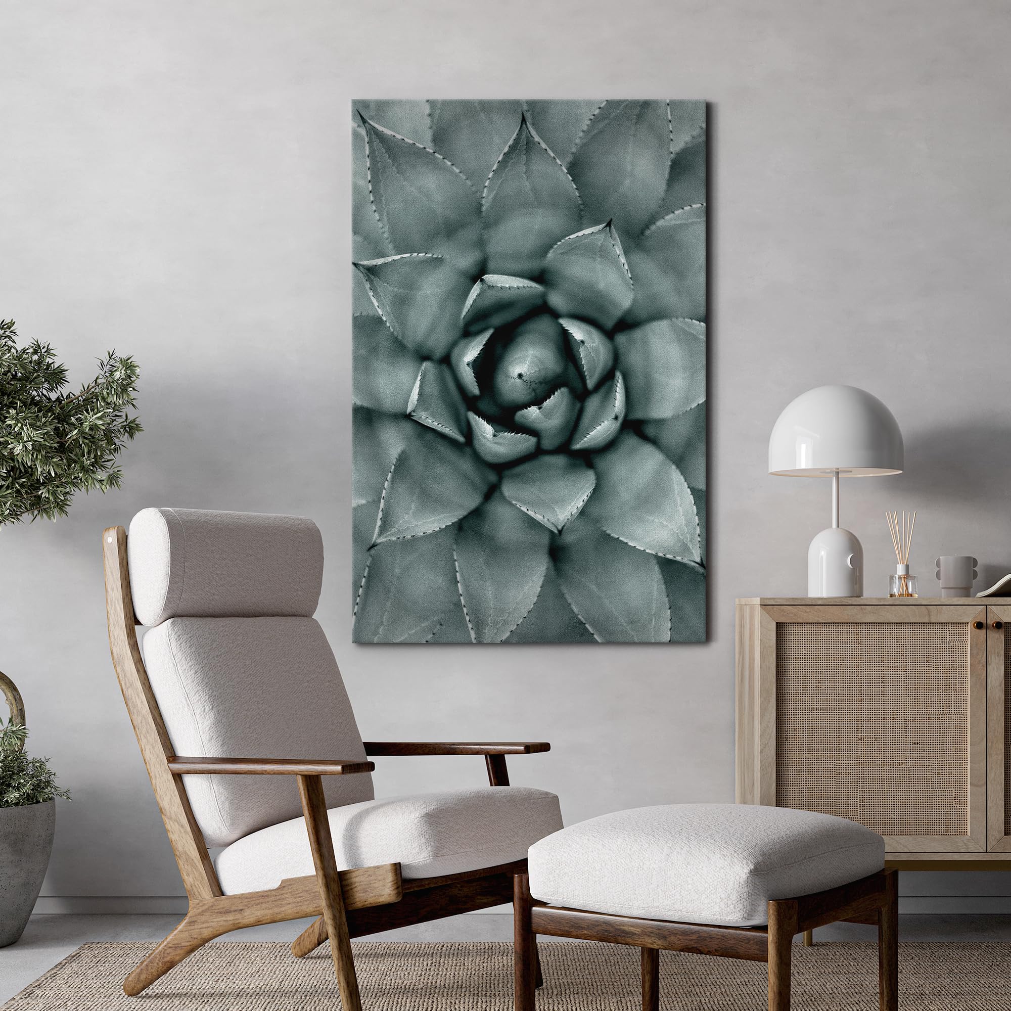 Wall26 Canvas Print Wall Art Monochrome Succulent Plant Chic Contemporary Botanical Nature Wilderness Photography Modern Art Dec