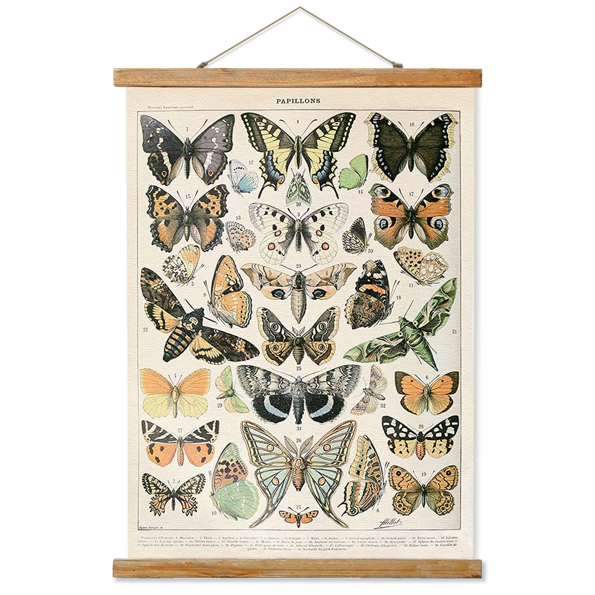 Vintage Butterflies Poster, Rustic Room Aesthetic, Retro Wall Art Prints Without Fading, Printed On Linen With Wood Frames, Read