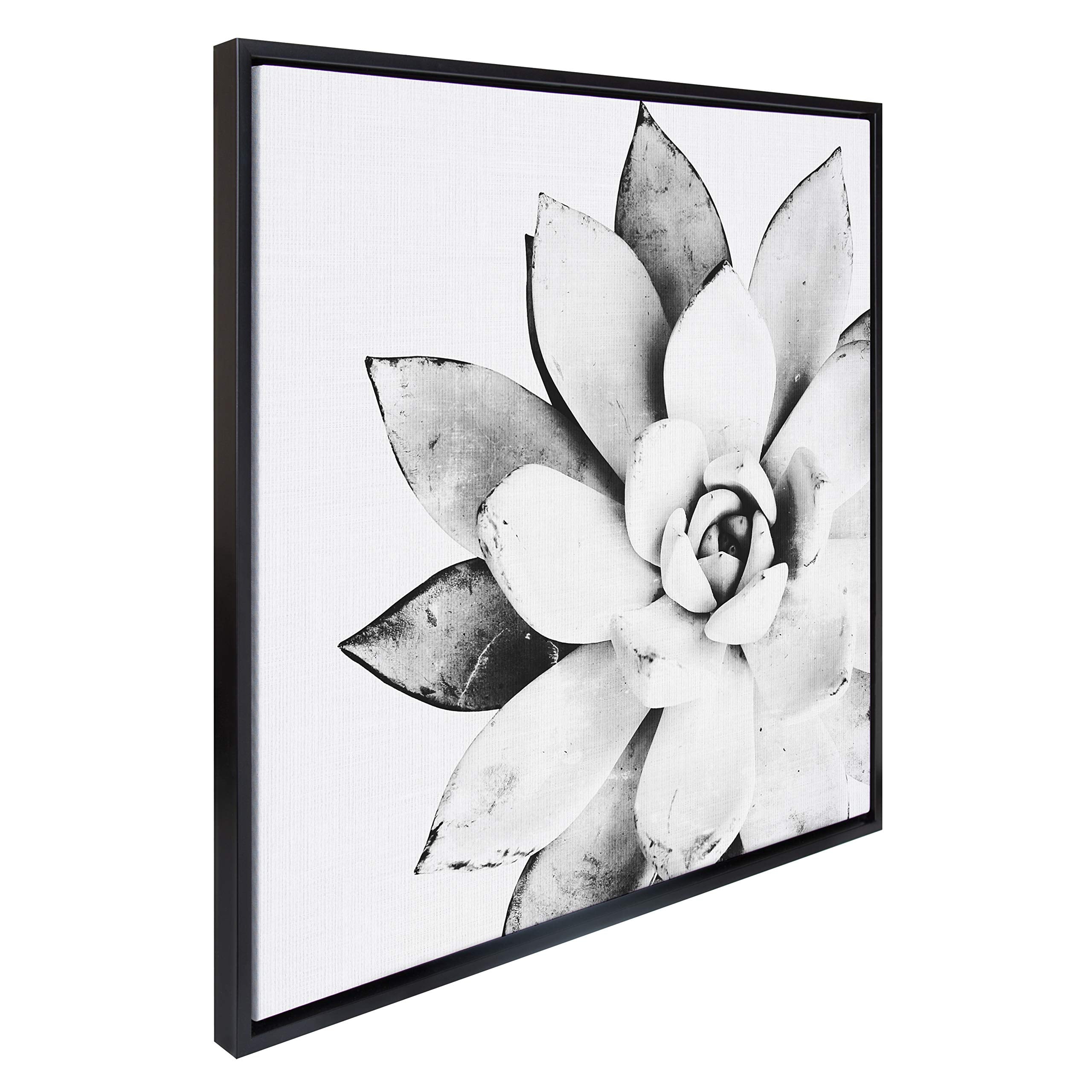 Kate And Laurel Sylvie Black And White Modern Succulent Print Framed Canvas Wall Art By Simon Te Tai, 30X30 Black