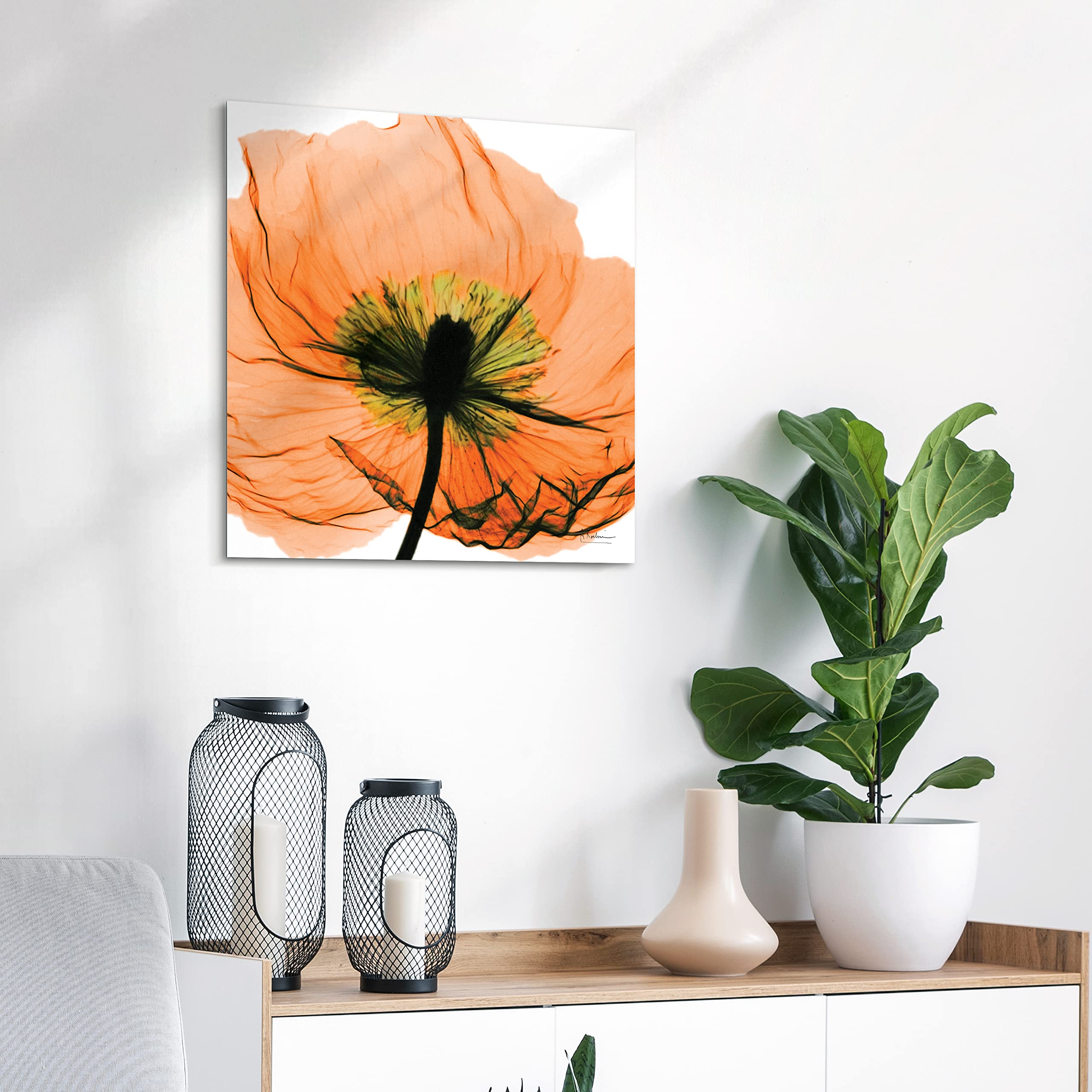 Empire Art Direct Frameless Free Floating Tempered Glass Panel Graphic Wall Art Ready To Hang, 24'' X 24'', Poppy Orange