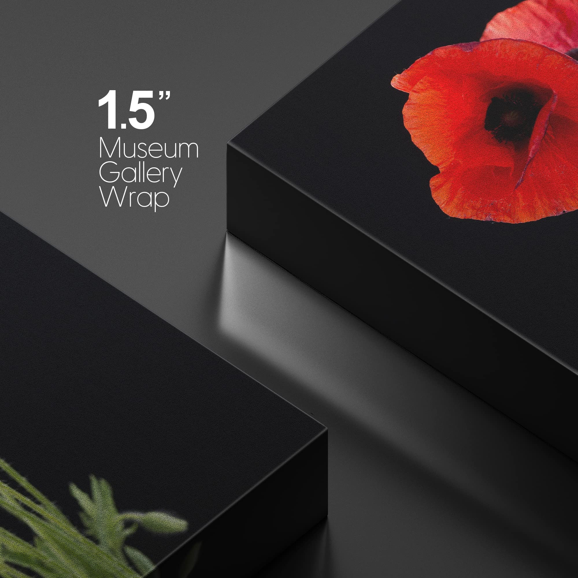 Canvas Prints Wall Art - Red Poppy Flowers Against Black Background Wall Decor/Home Art Stretched Gallery Wraps Giclee Print & W