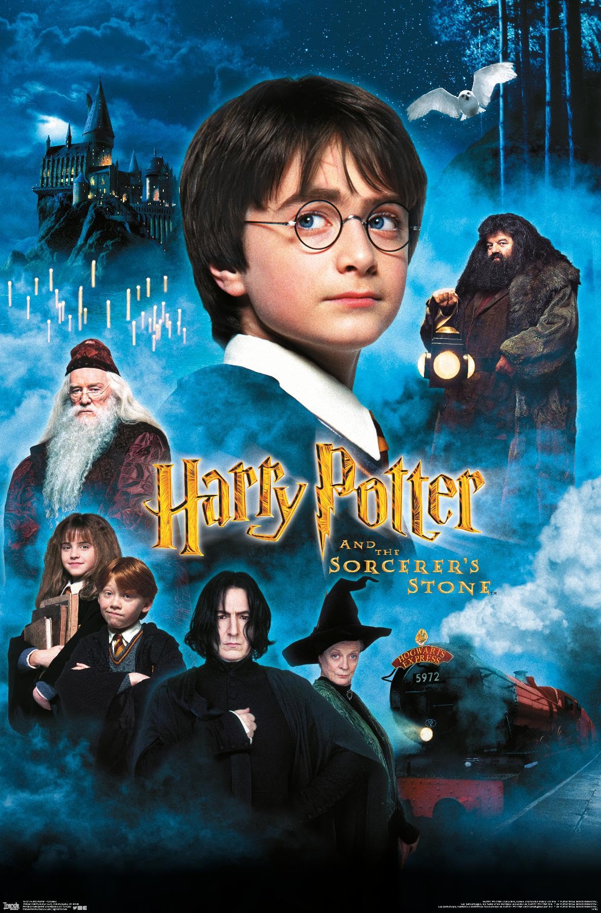 Trends International Harry Potter And The Sorcerer'S Stone - Candles One Sheet Wall Poster, 22.375'' X 34'', Unframed Version