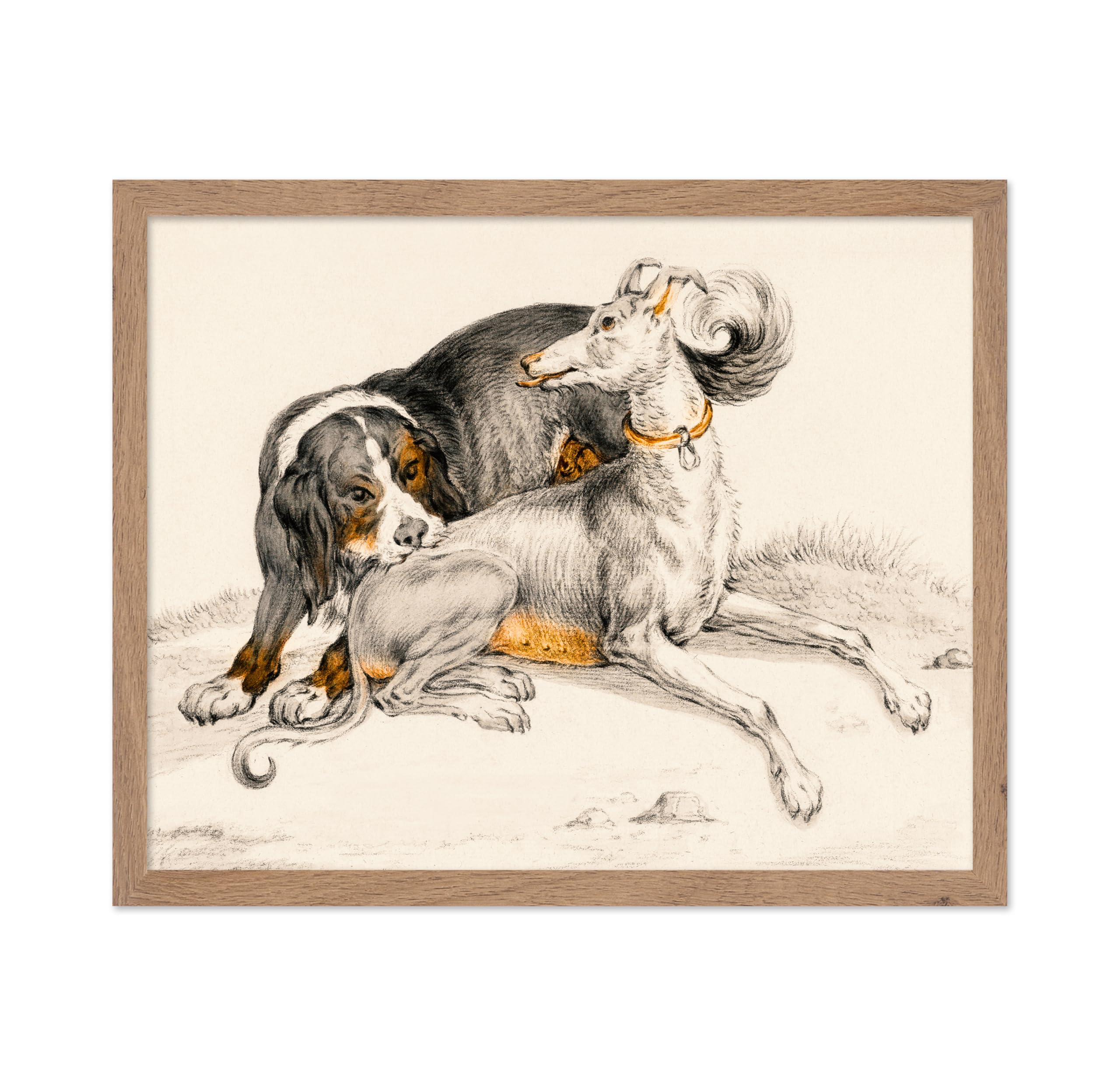 Poster Master Vintage A Dog Bites Another Sitting Dog Poster - Retro Dog Print - Puppy Art - Animal Lover Art - Drawing Art - Sk