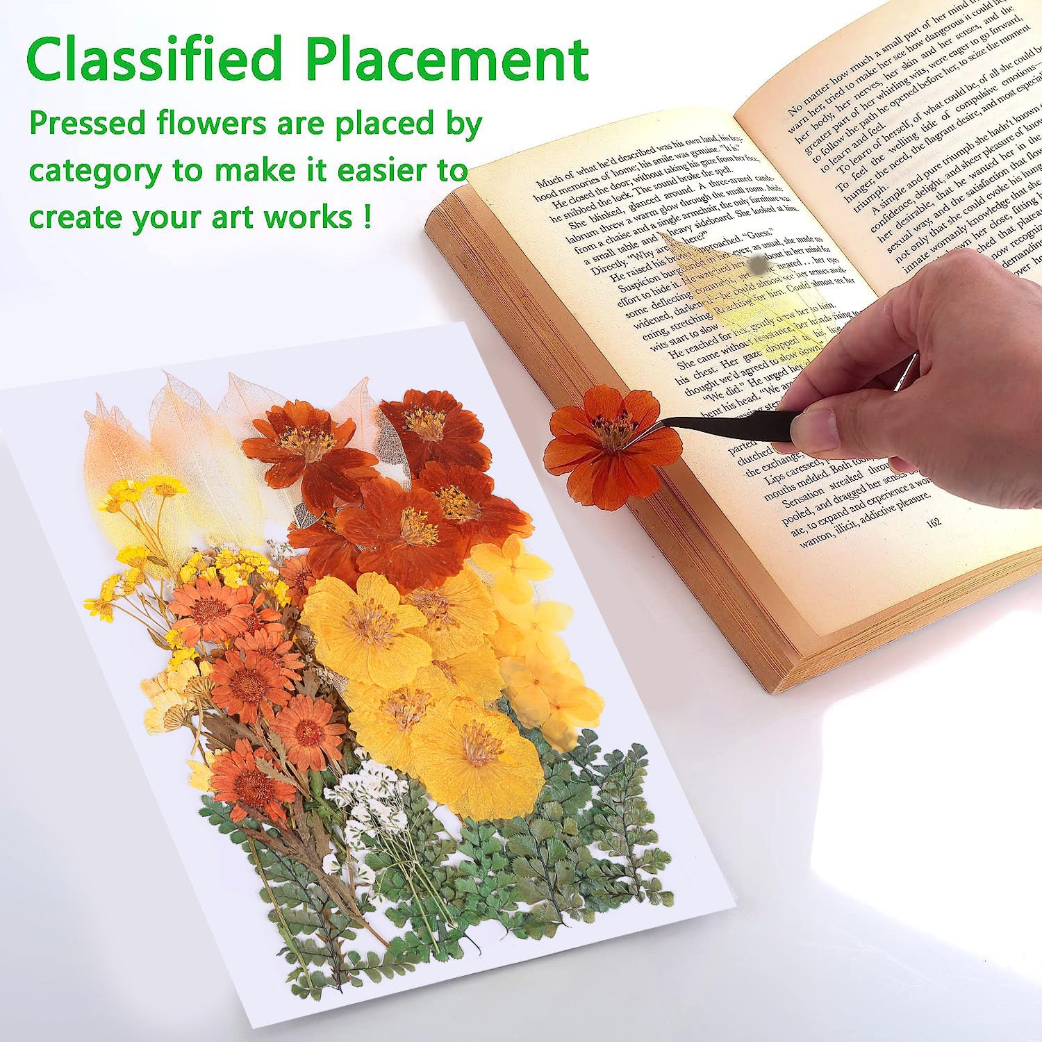 100 Pcs Real Dried Pressed Flowers Leaves Natural Plant Herbarium For Diy Resin Mold Jewelry Making Craft (20 Styles)-Fall Yello
